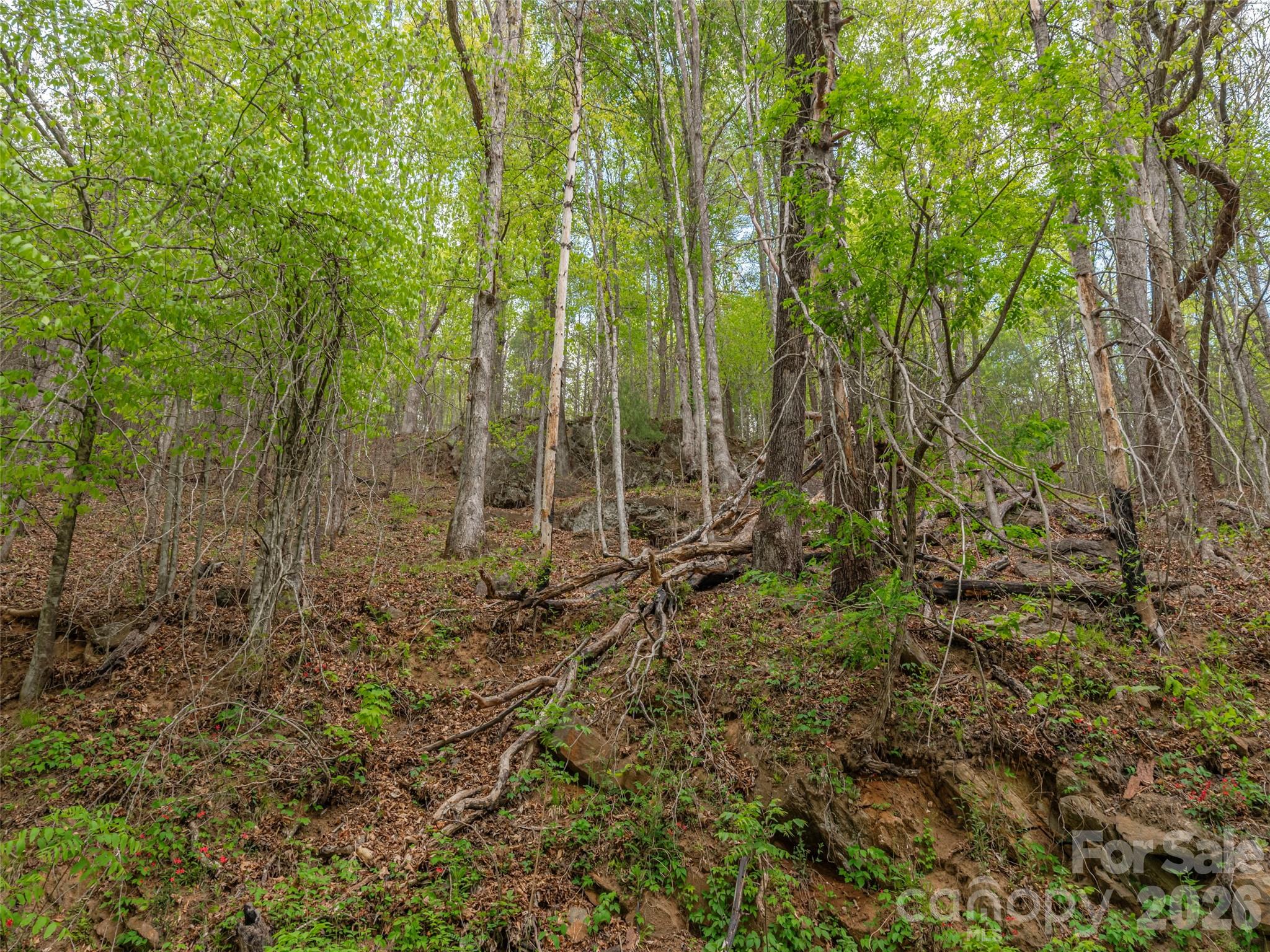 000 Caney Fork Road Property Photo 16