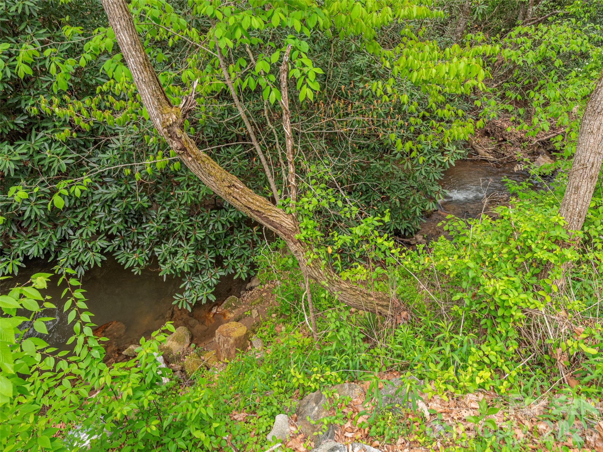 000 Caney Fork Road Property Photo 17
