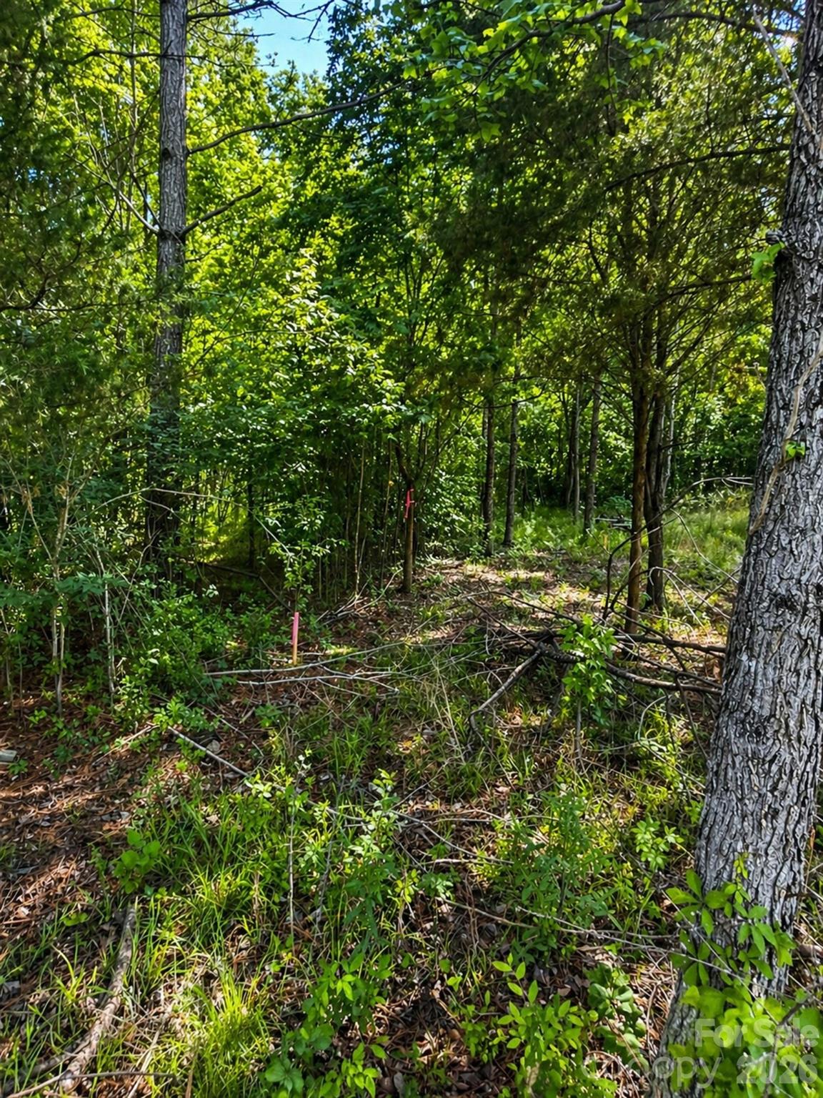 468 Porter Road Property Photo 3