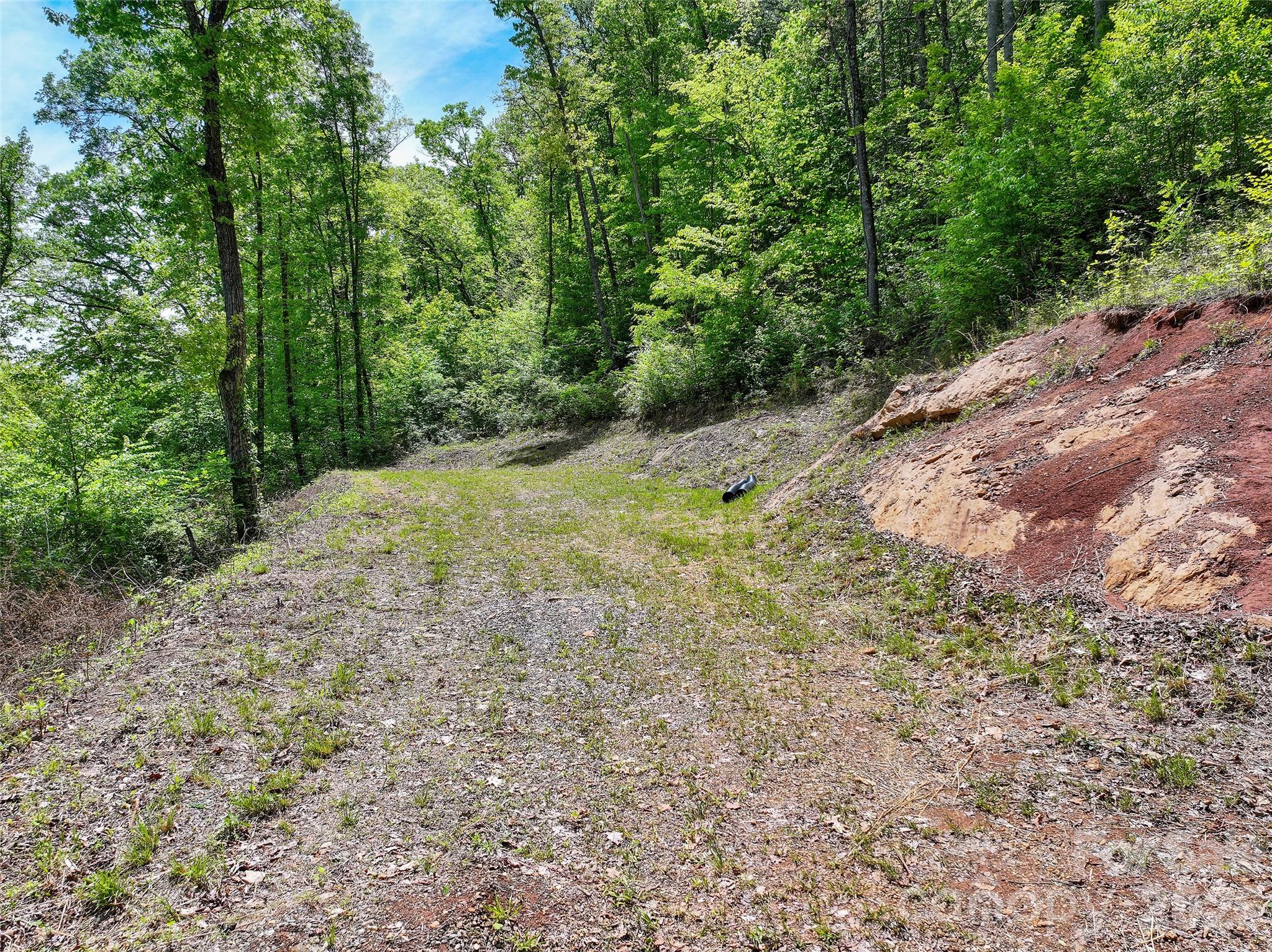 788 Cowee Tunnel Road Property Photo 10