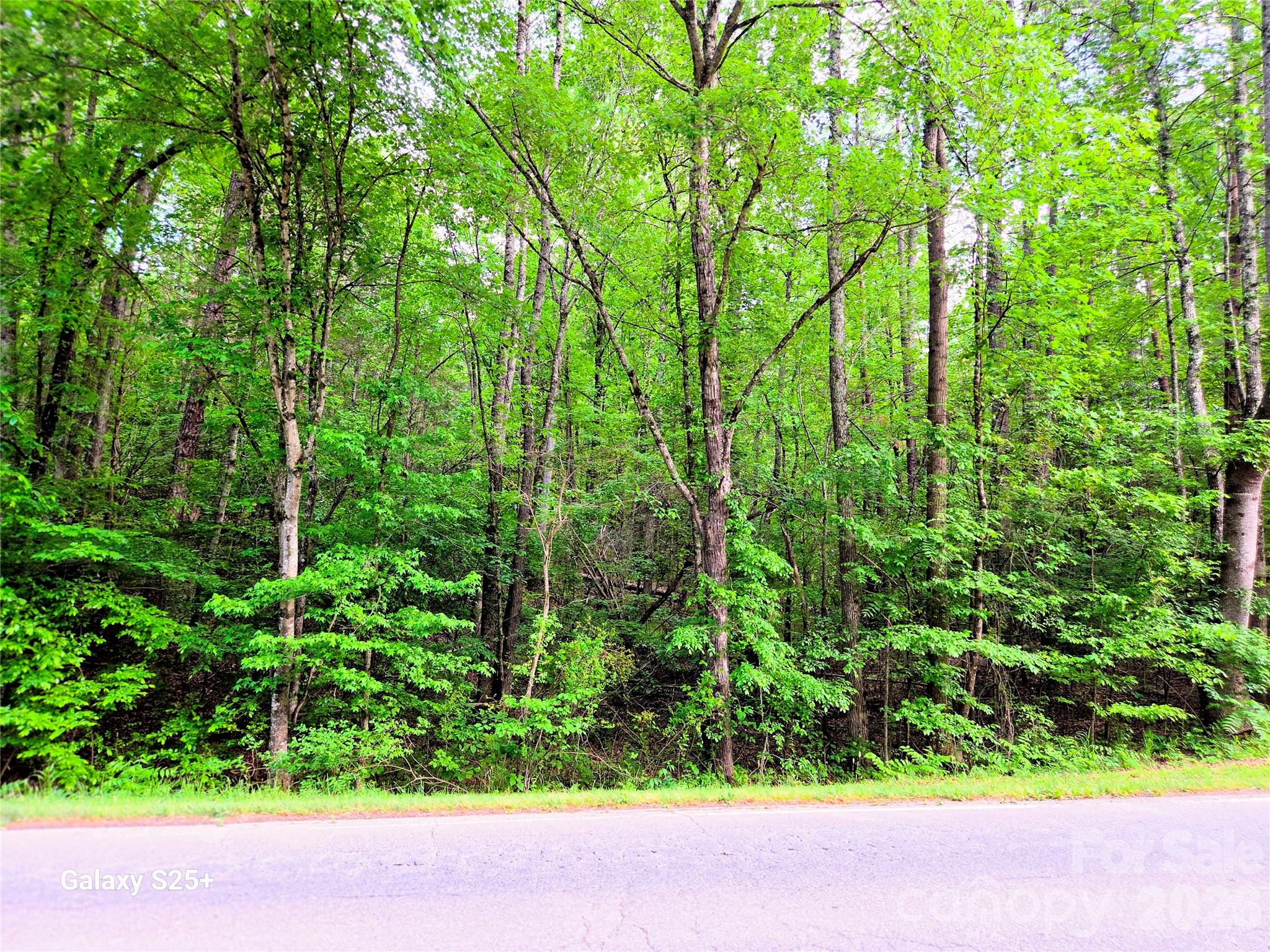 Vac Stony Gap Road Property Photo 5