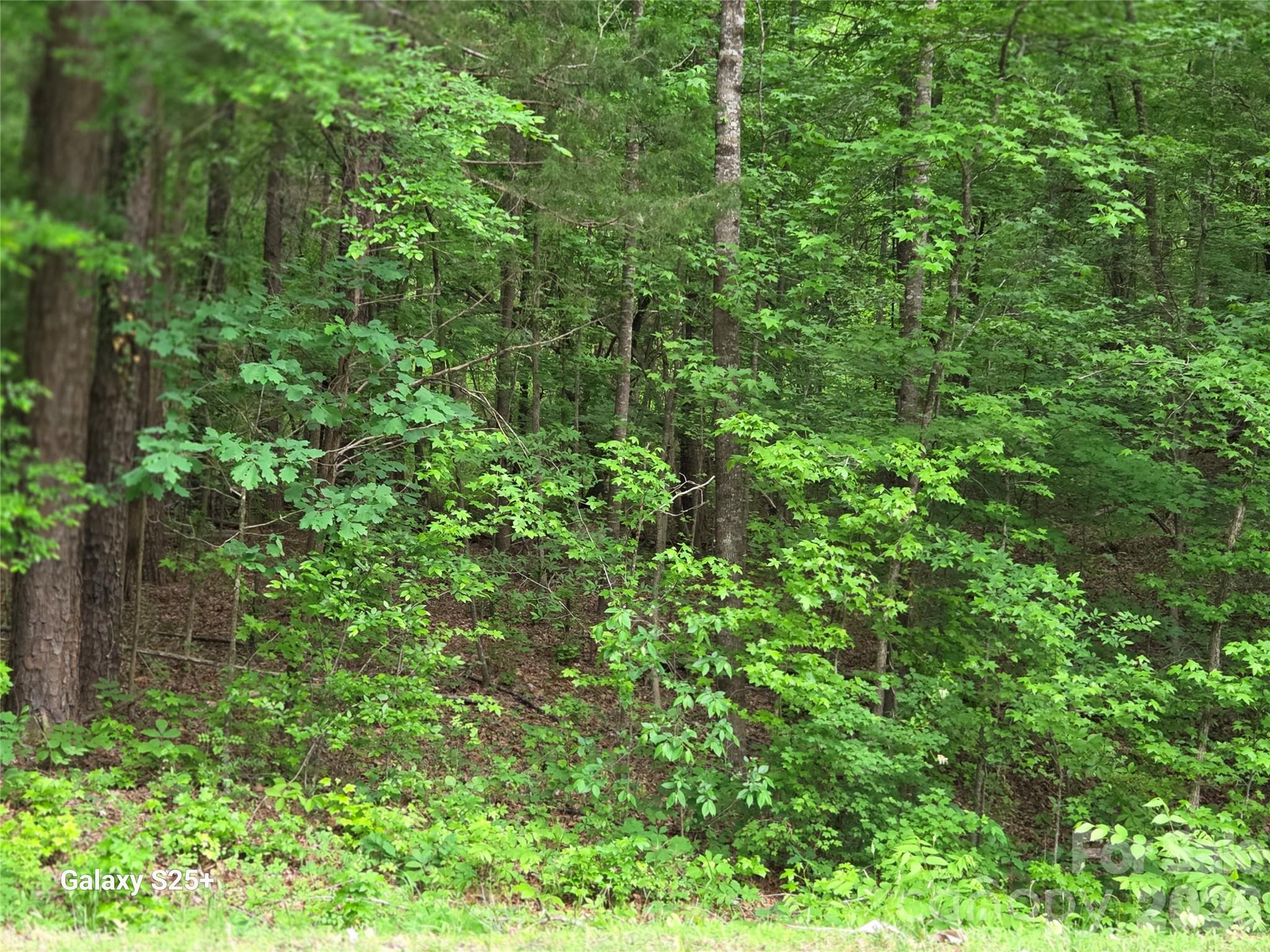 Vac Stony Gap Road Property Photo 8