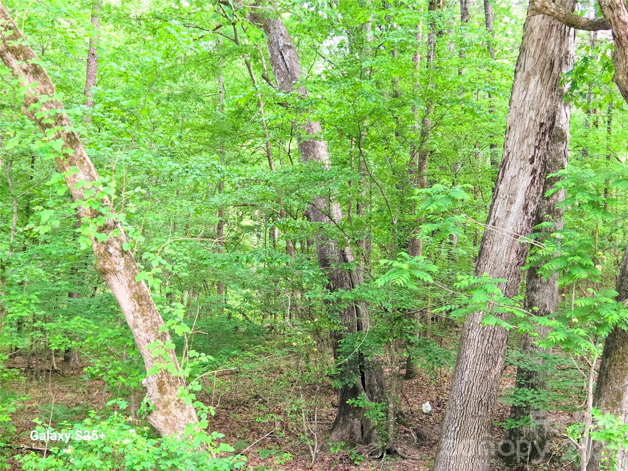 Vac Stony Gap Road Property Photo 9