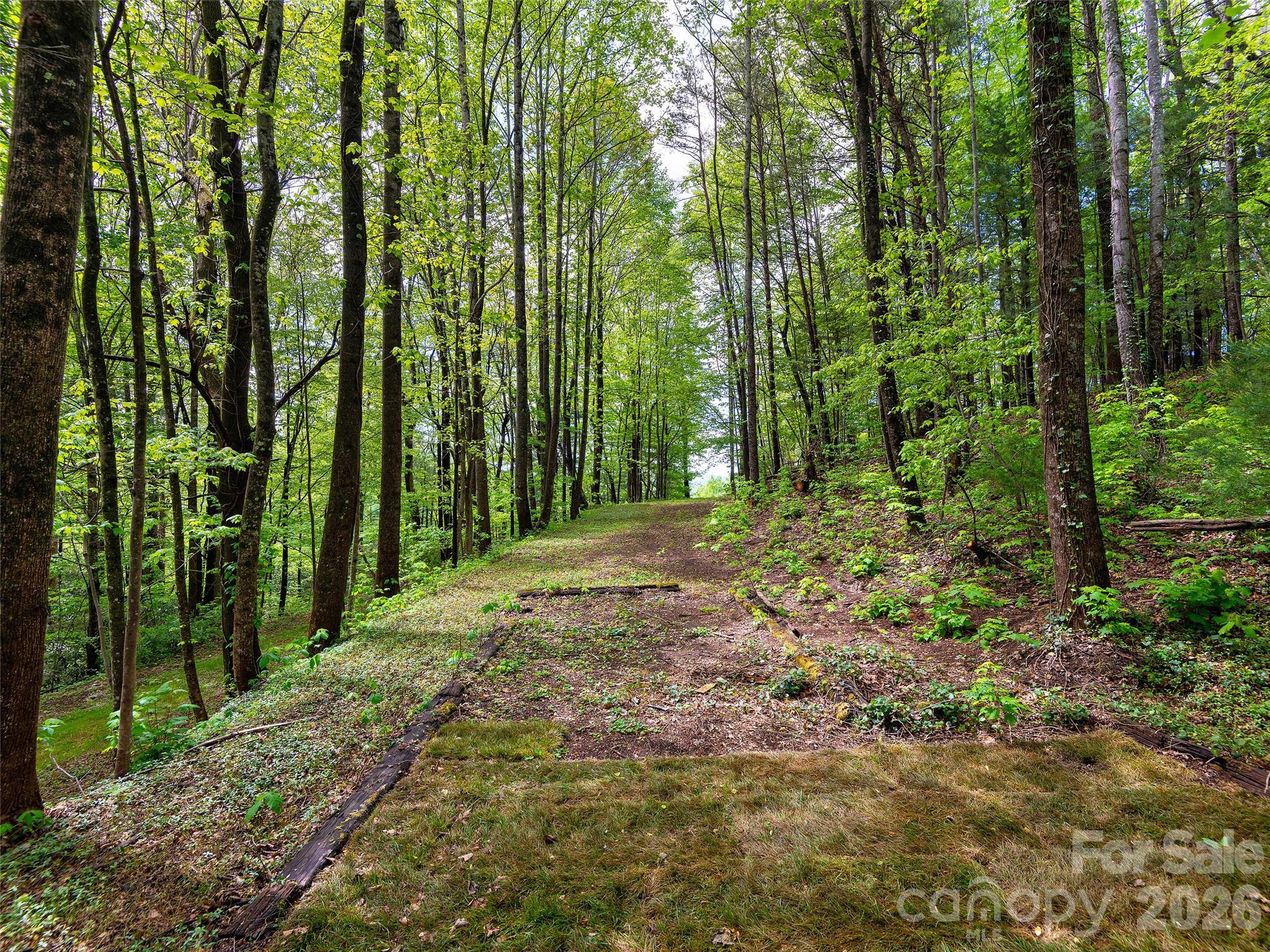209 Ivy Hill Road Property Photo 37