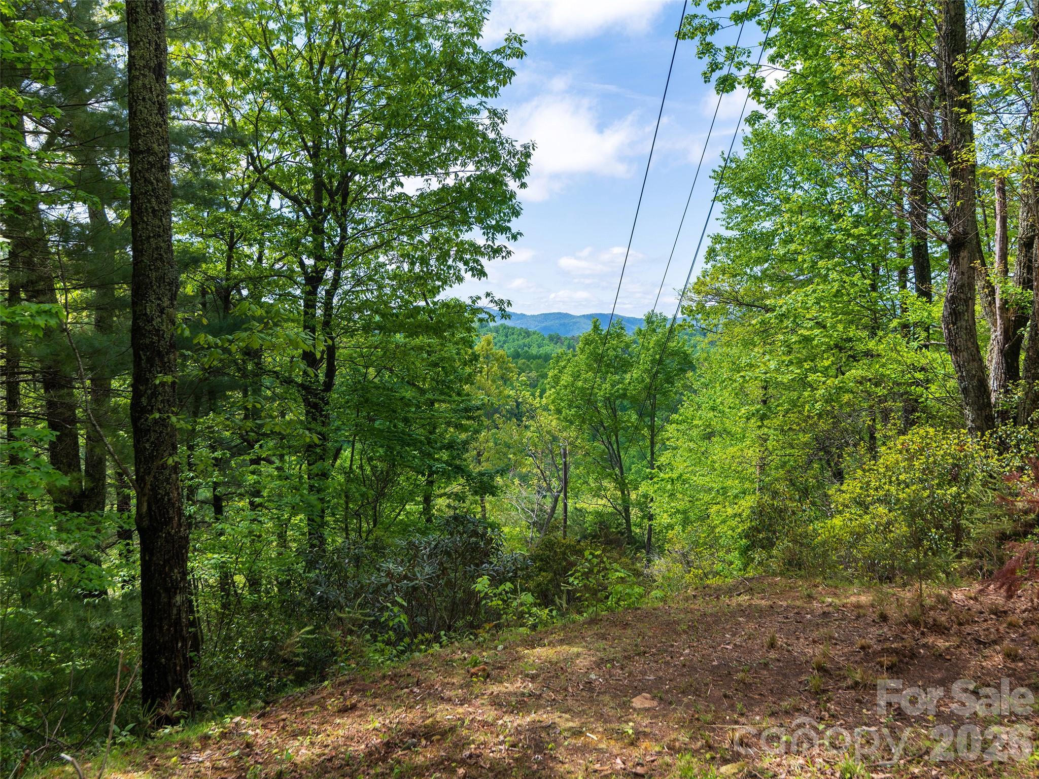 209 Ivy Hill Road Property Photo 38