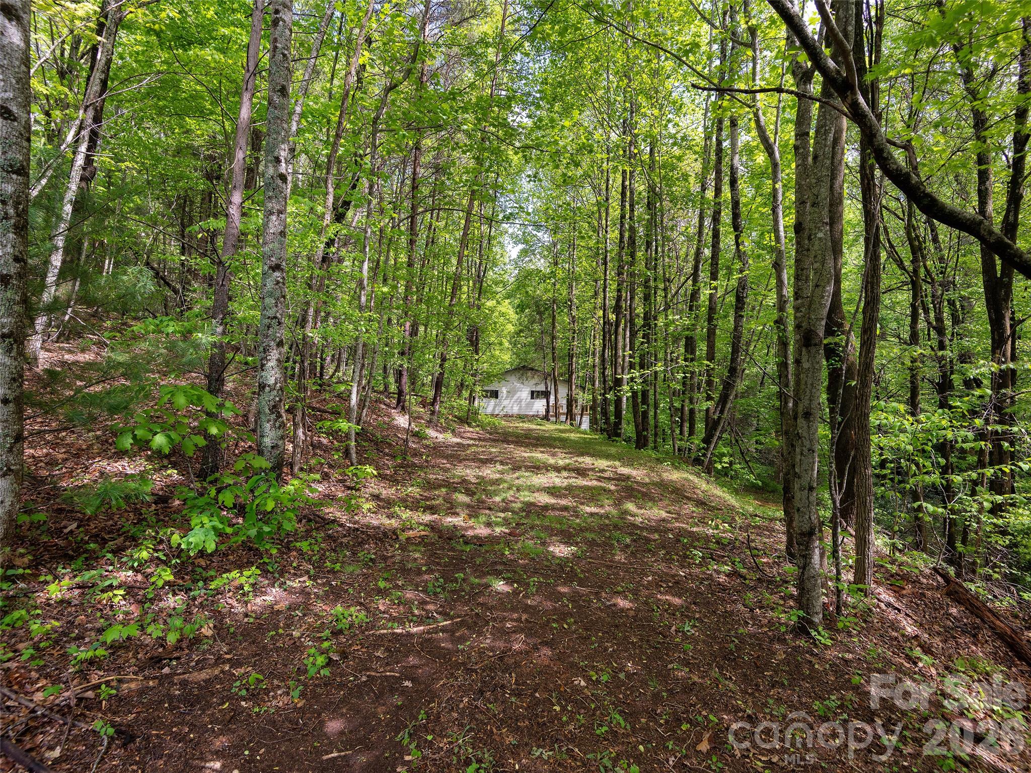209 Ivy Hill Road Property Photo 39