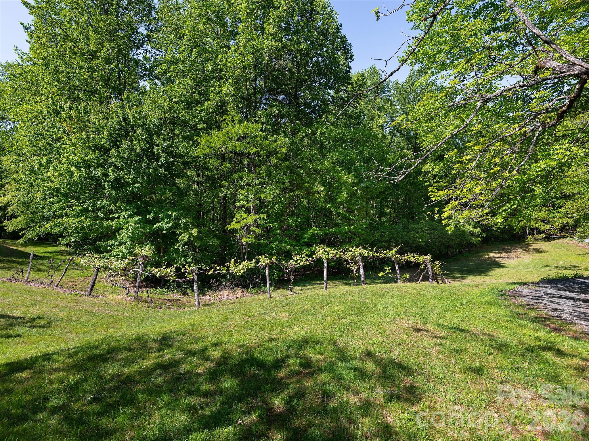 209 Ivy Hill Road Property Photo 41