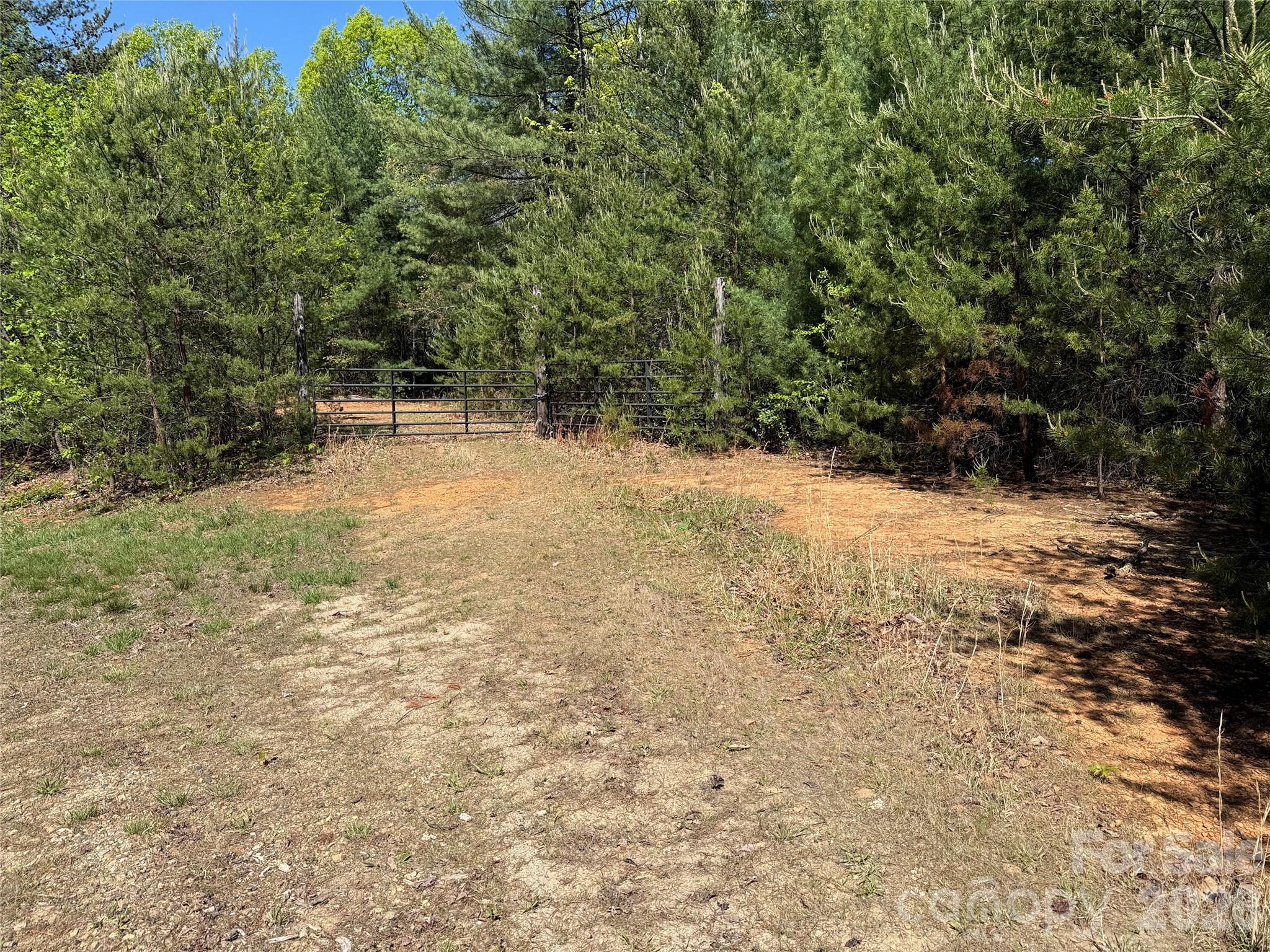 Tbd Staghorn Road 160 & 161 Property Photo 1