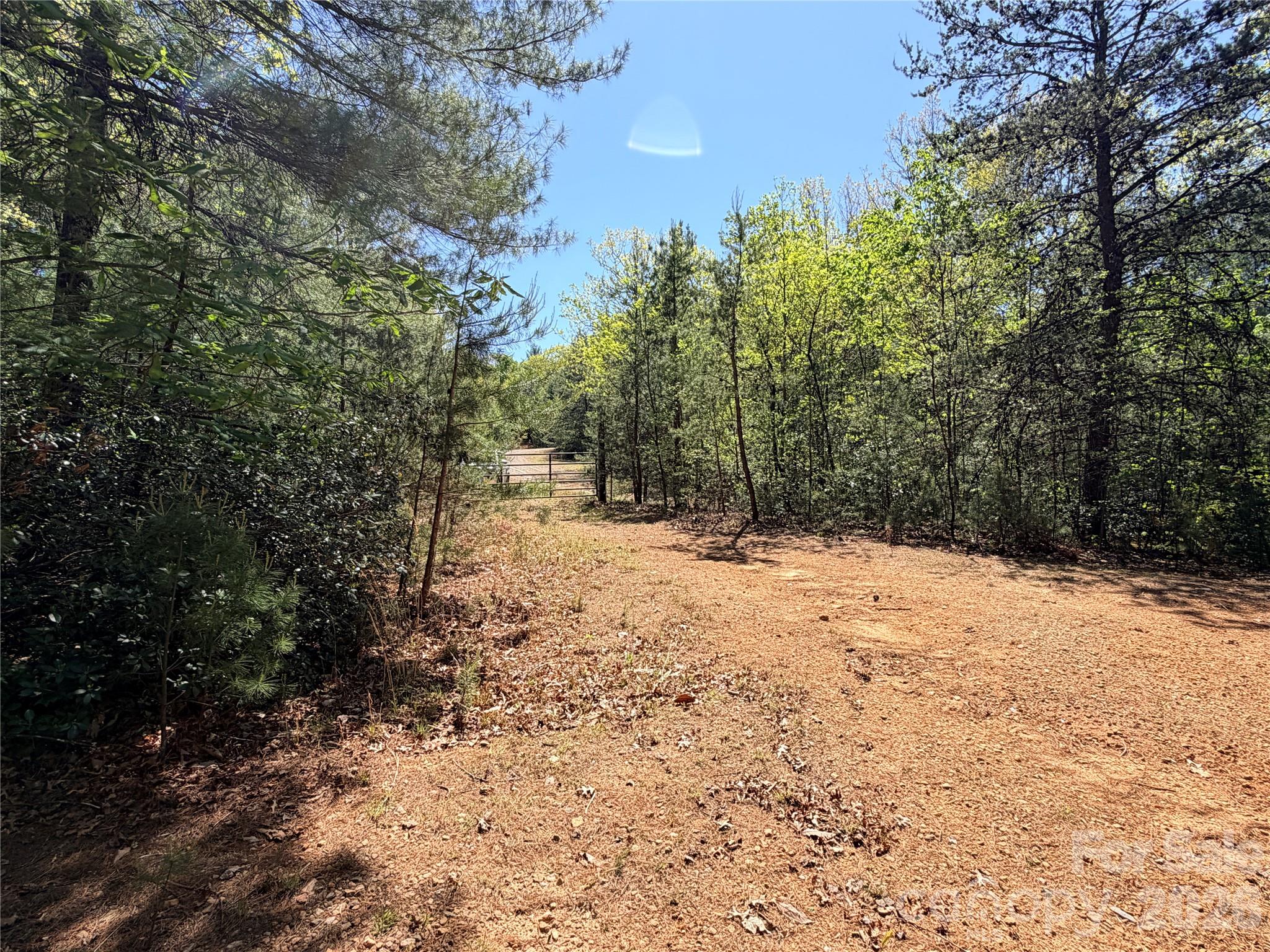 Tbd Staghorn Road 160 & 161 Property Photo 2