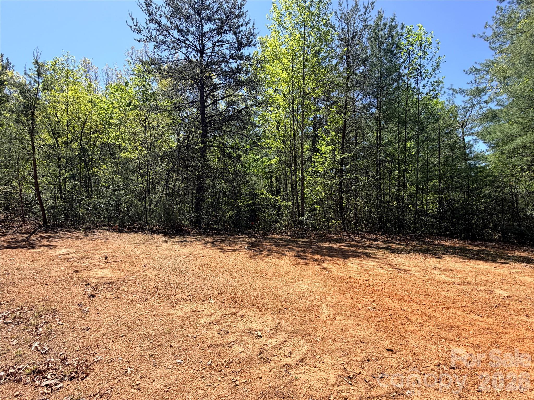 Tbd Staghorn Road 160 & 161 Property Photo 4