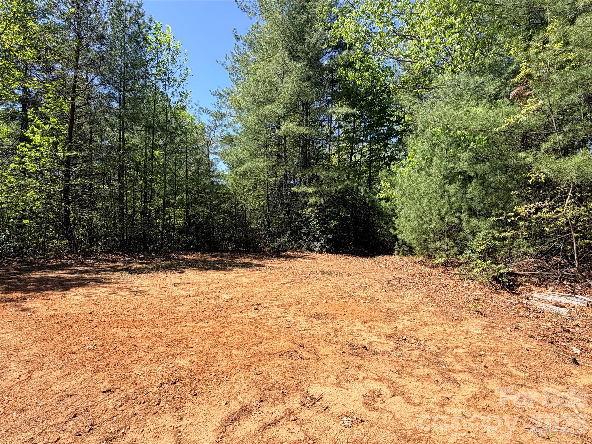 Tbd Staghorn Road 160 & 161 Property Photo 5