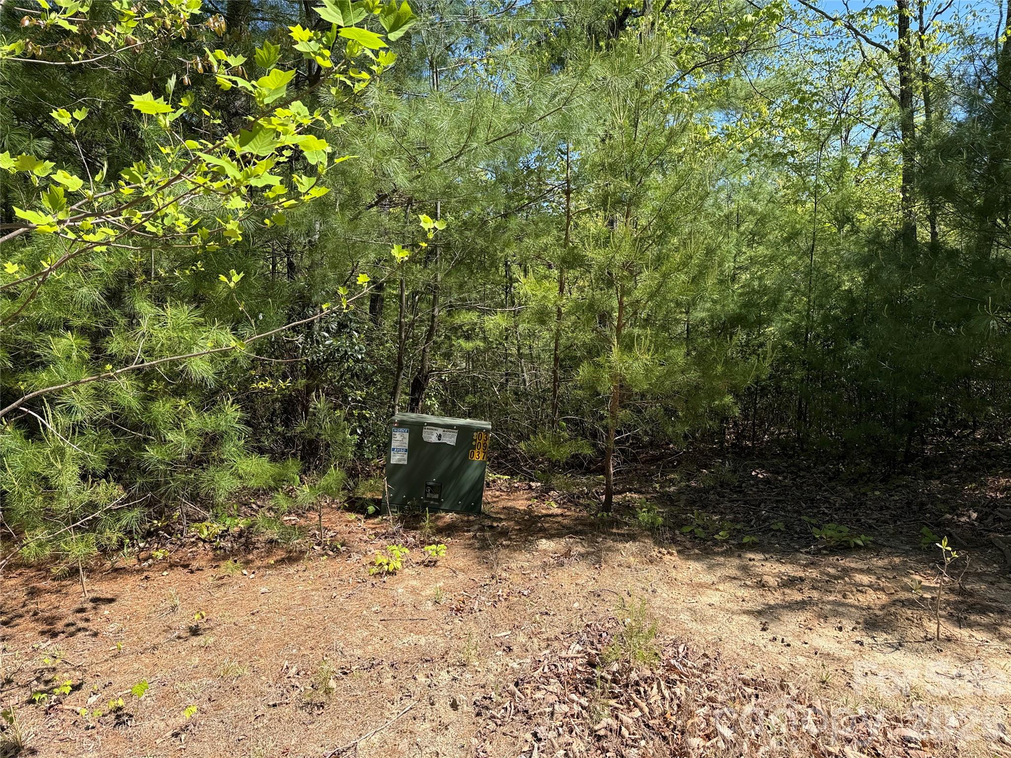 Tbd Staghorn Road 160 & 161 Property Photo 6