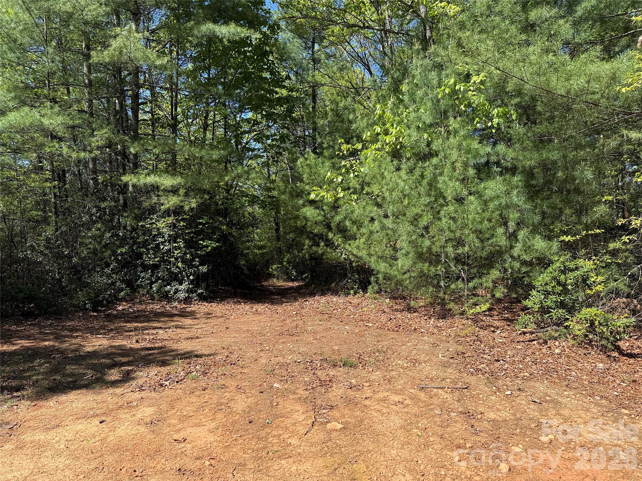 Tbd Staghorn Road 160 & 161 Property Photo 7