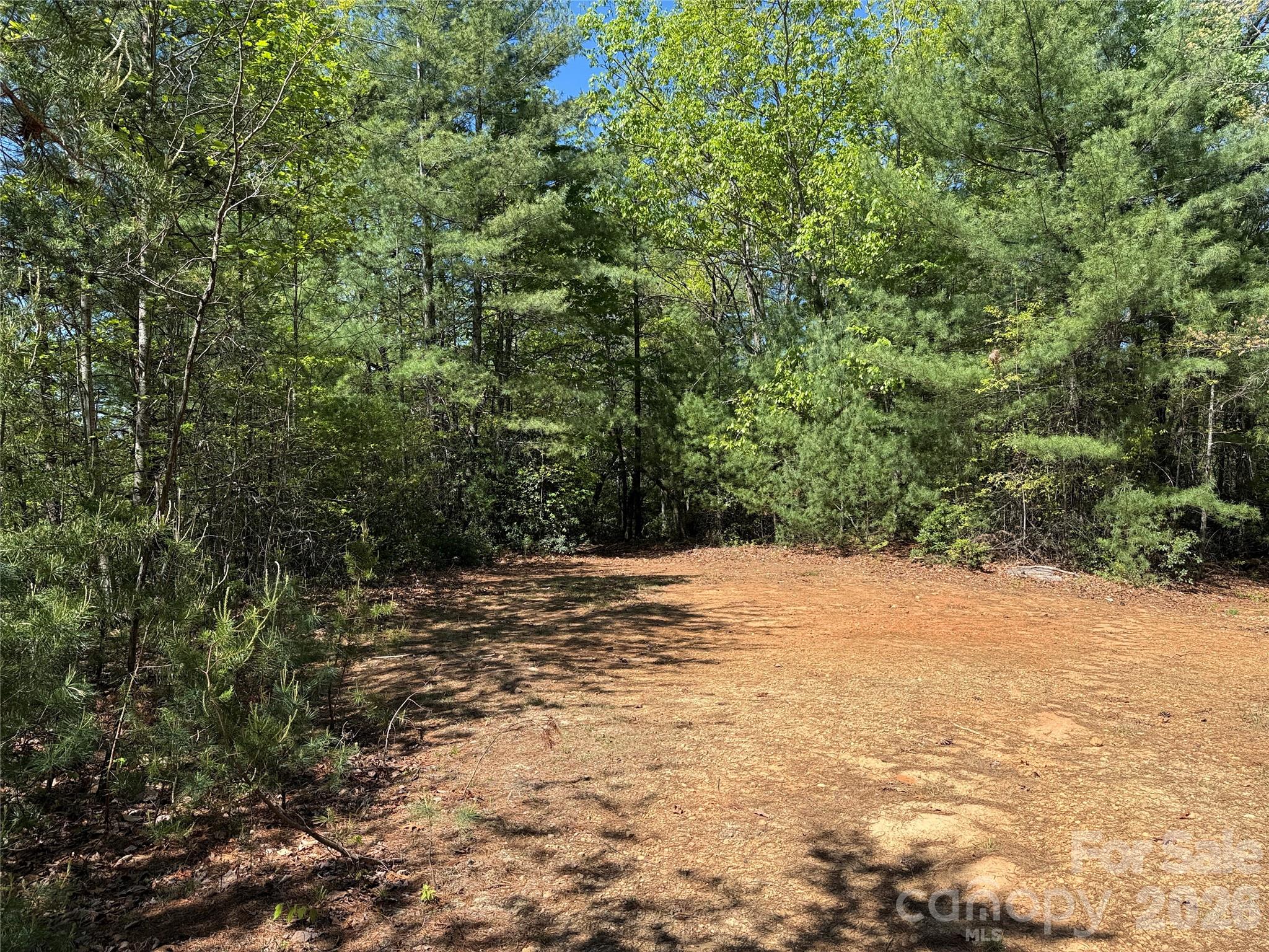 Tbd Staghorn Road 160 & 161 Property Photo 8