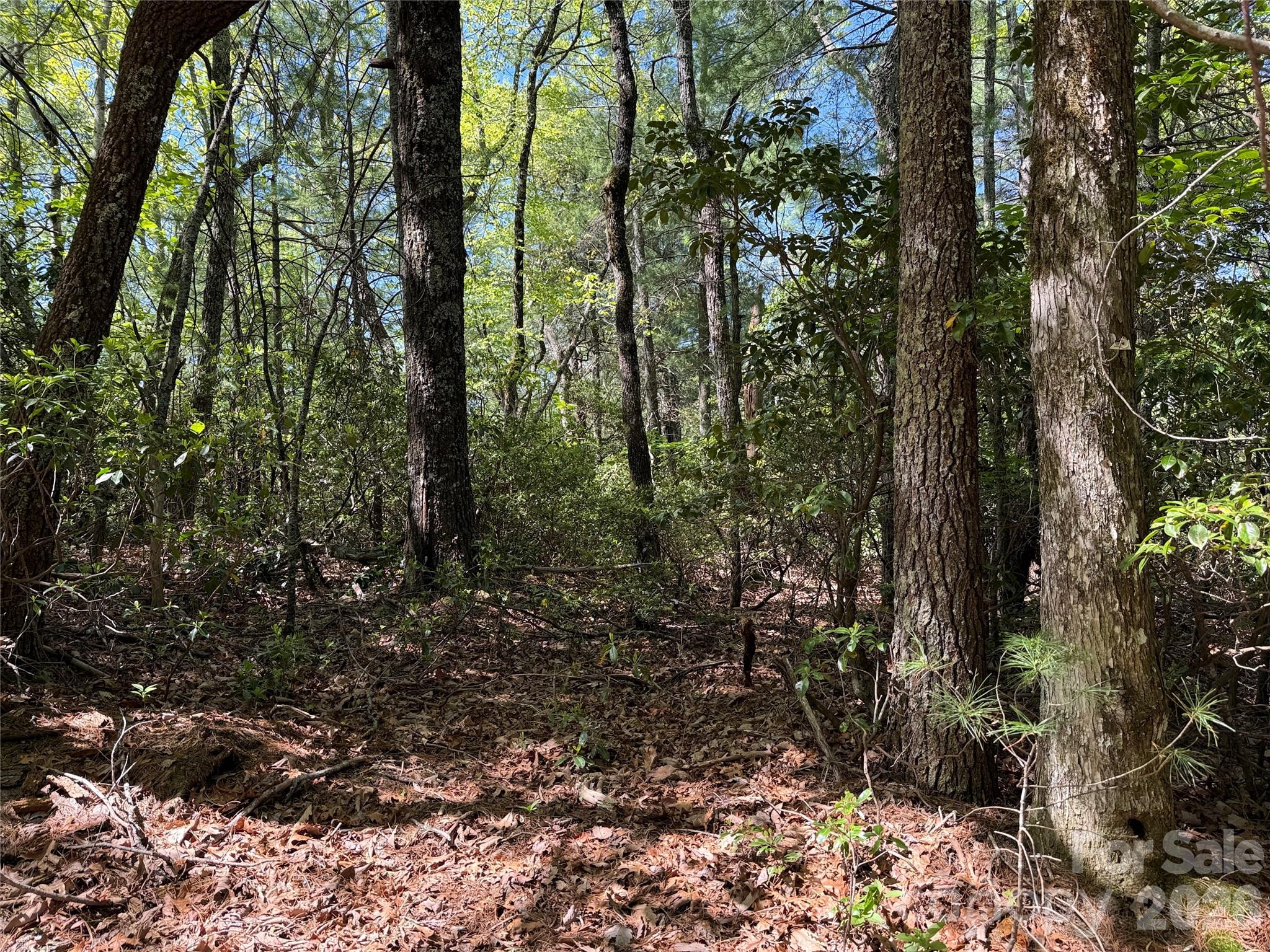Tbd Staghorn Road 160 & 161 Property Photo 11