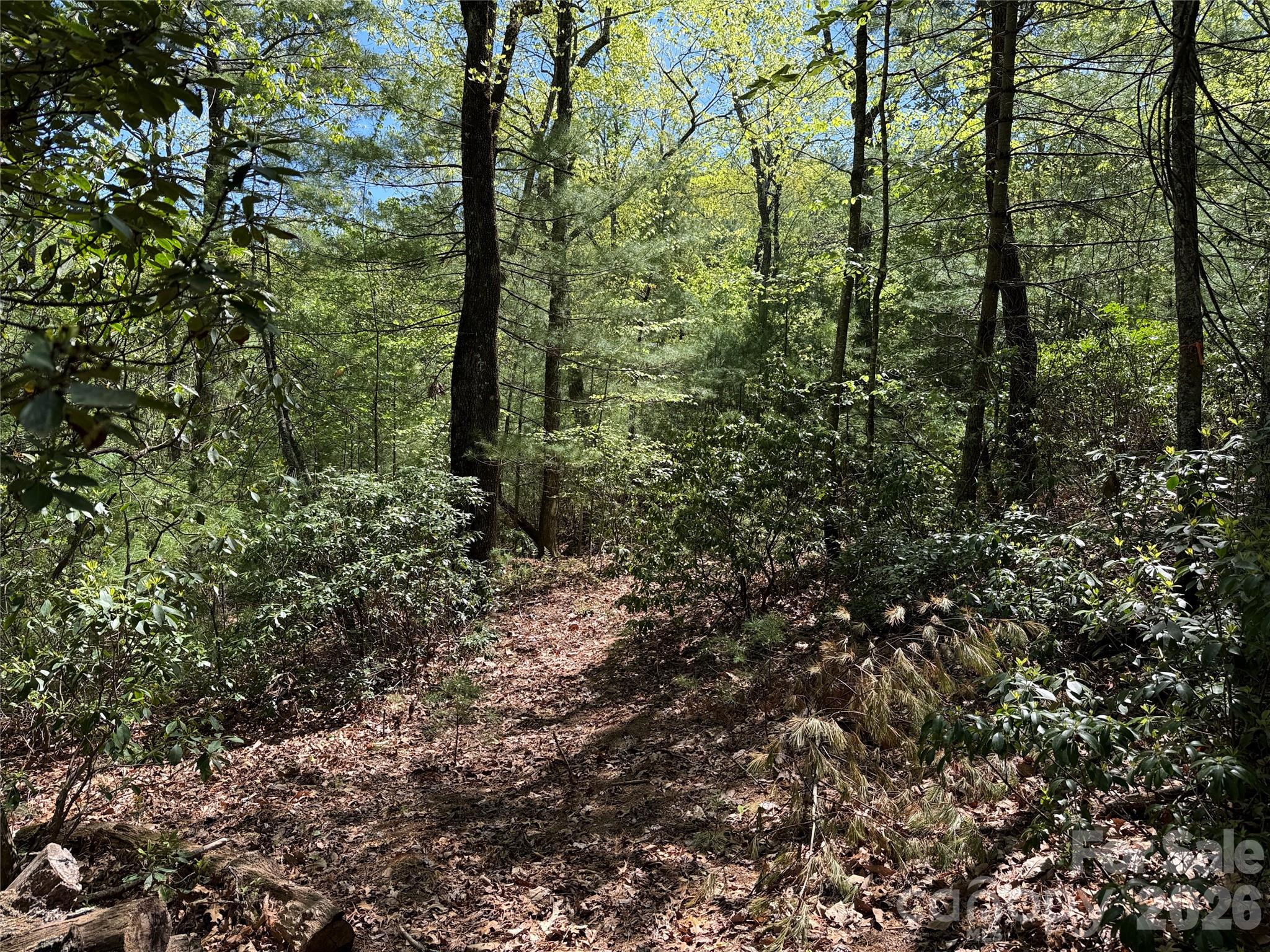 Tbd Staghorn Road 160 & 161 Property Photo 13