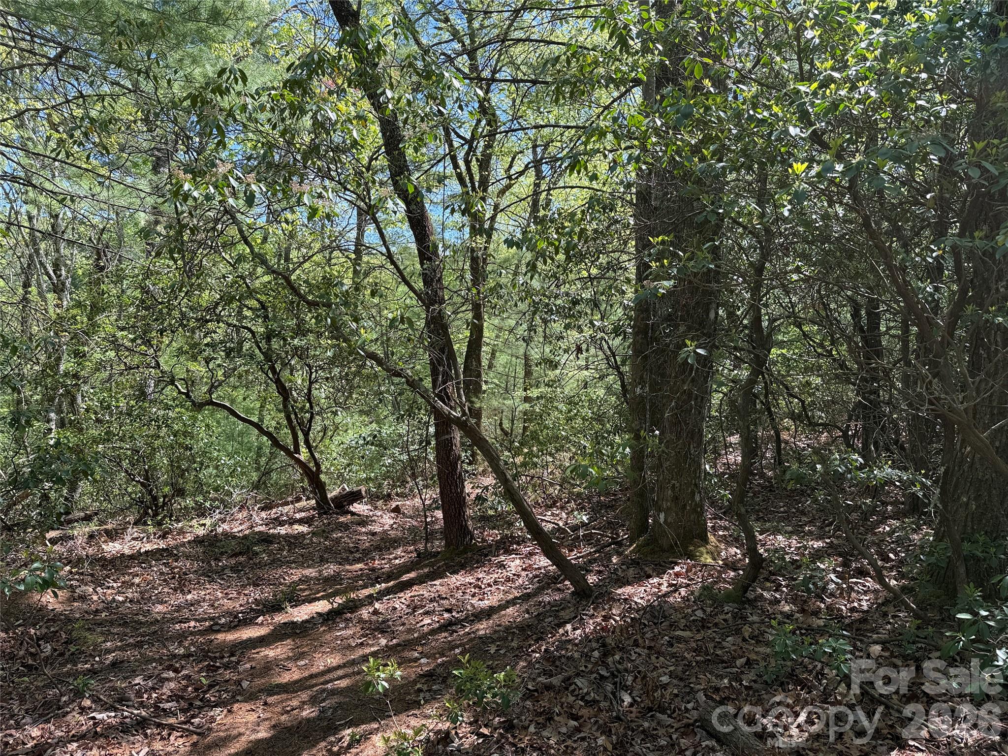 Tbd Staghorn Road 160 & 161 Property Photo 14