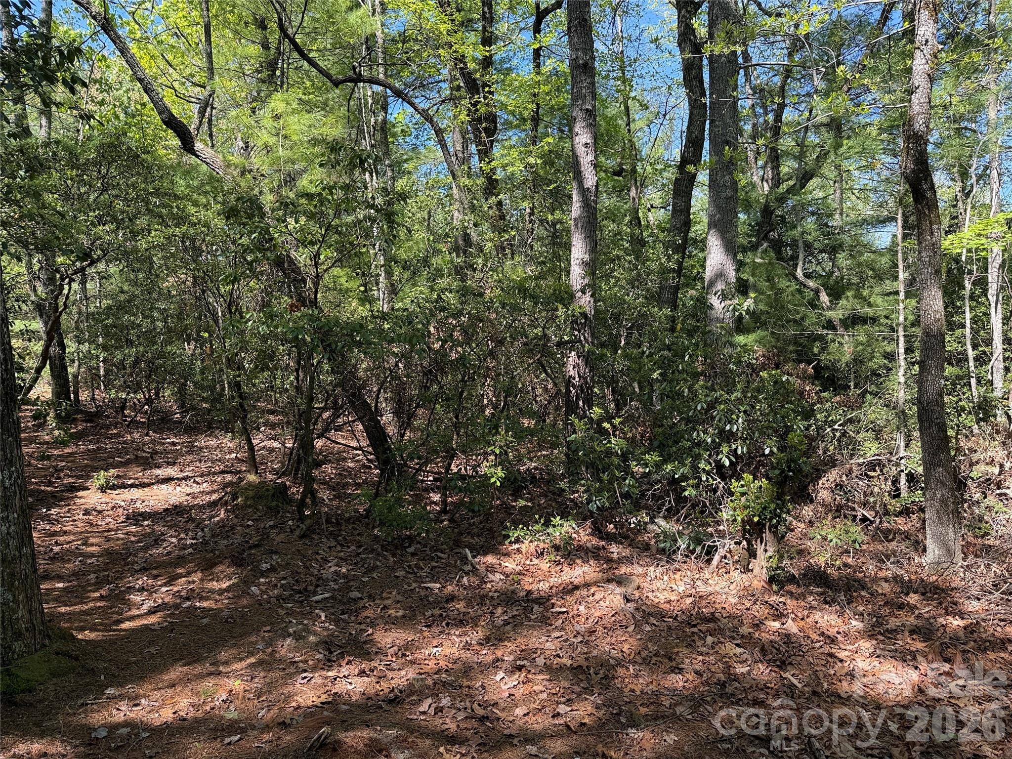 Tbd Staghorn Road 160 & 161 Property Photo 15