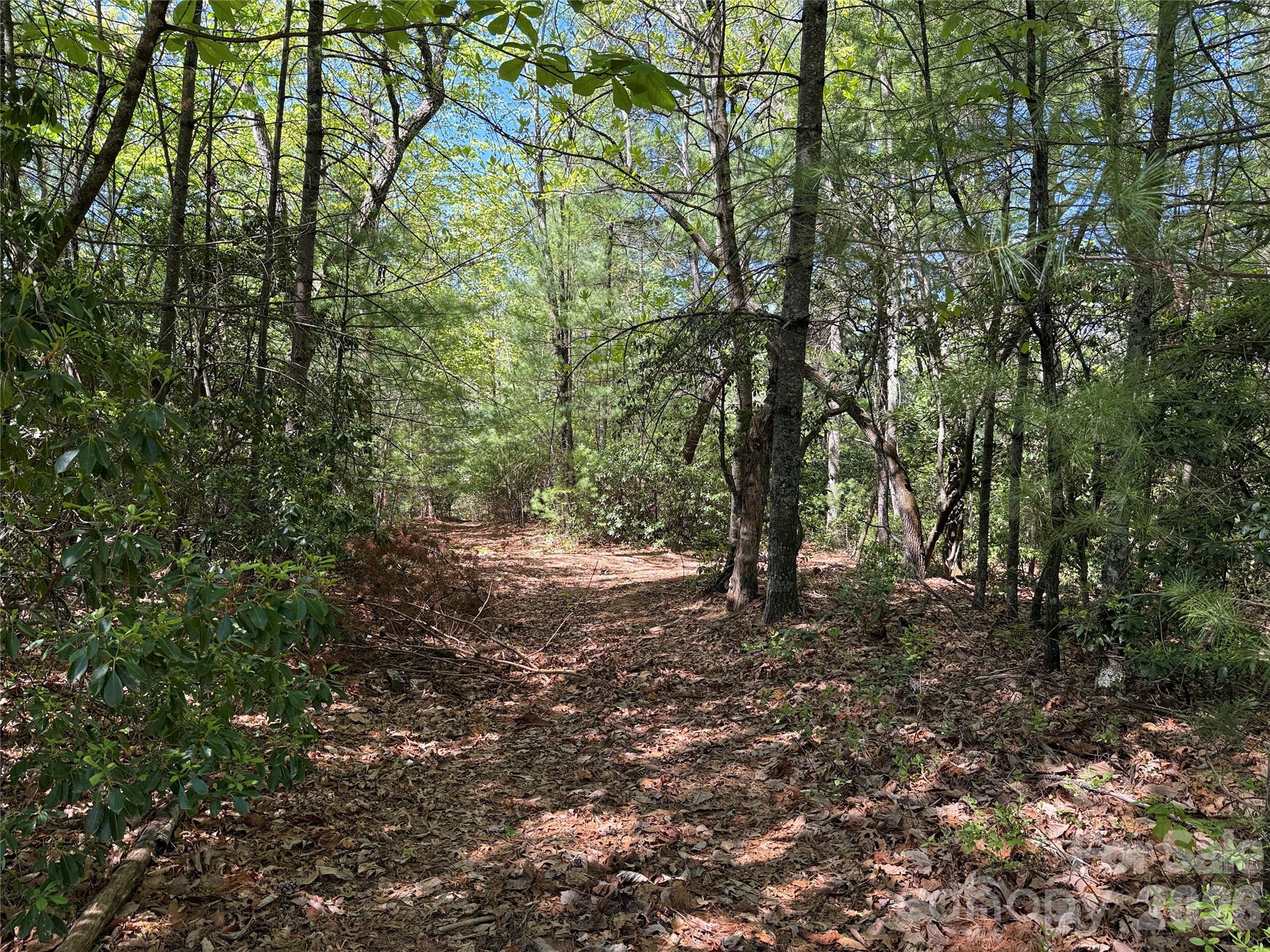 Tbd Staghorn Road 160 & 161 Property Photo 16