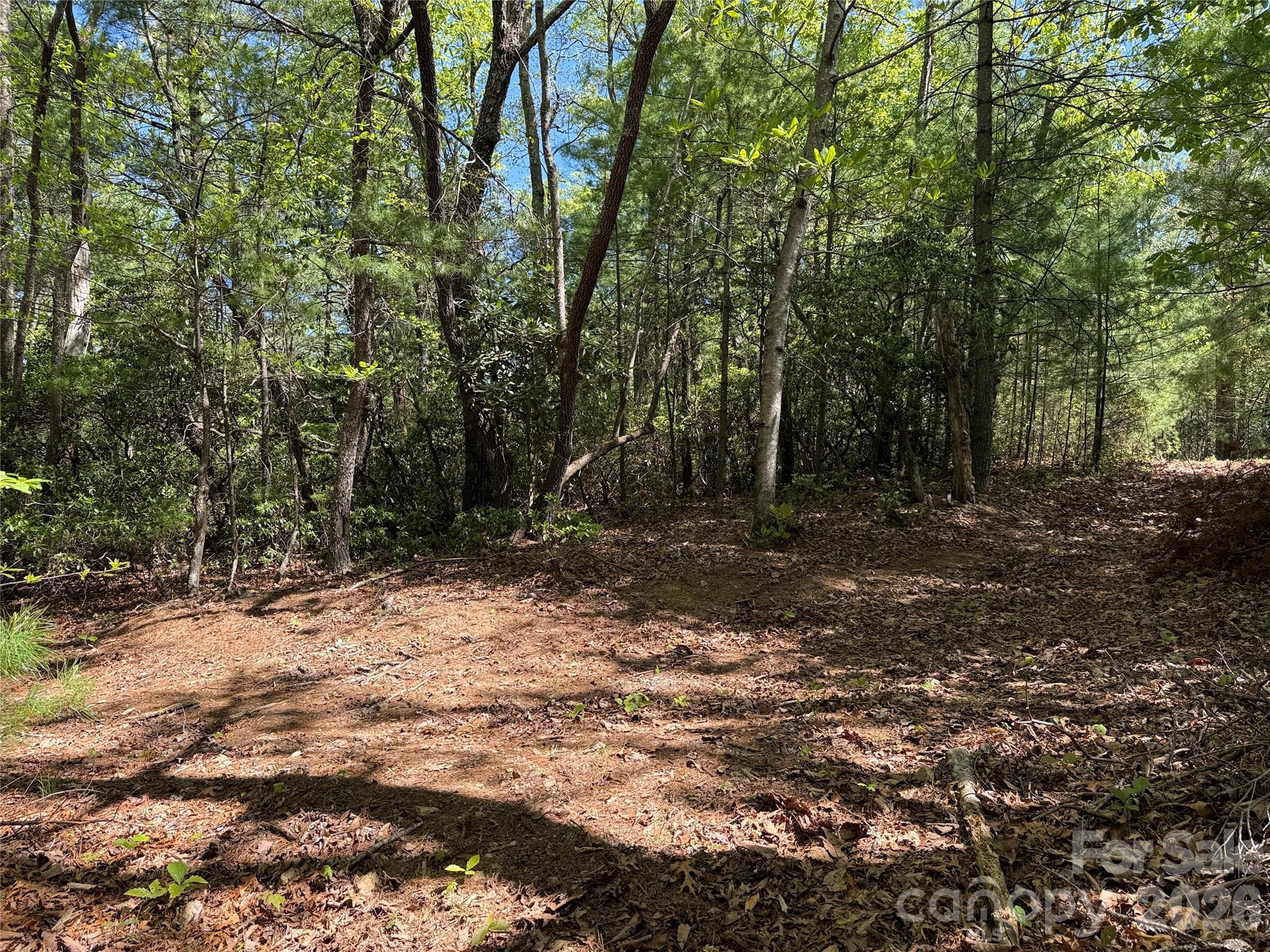 Tbd Staghorn Road 160 & 161 Property Photo 17