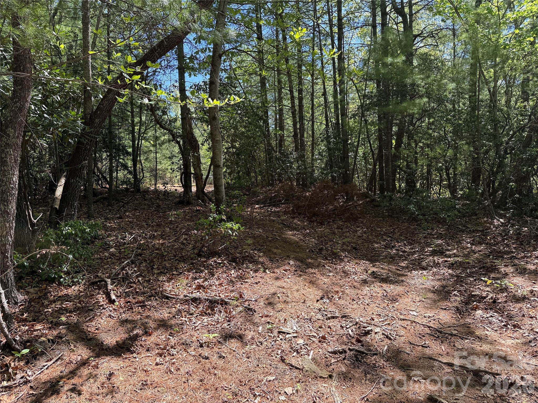 Tbd Staghorn Road 160 & 161 Property Photo 18