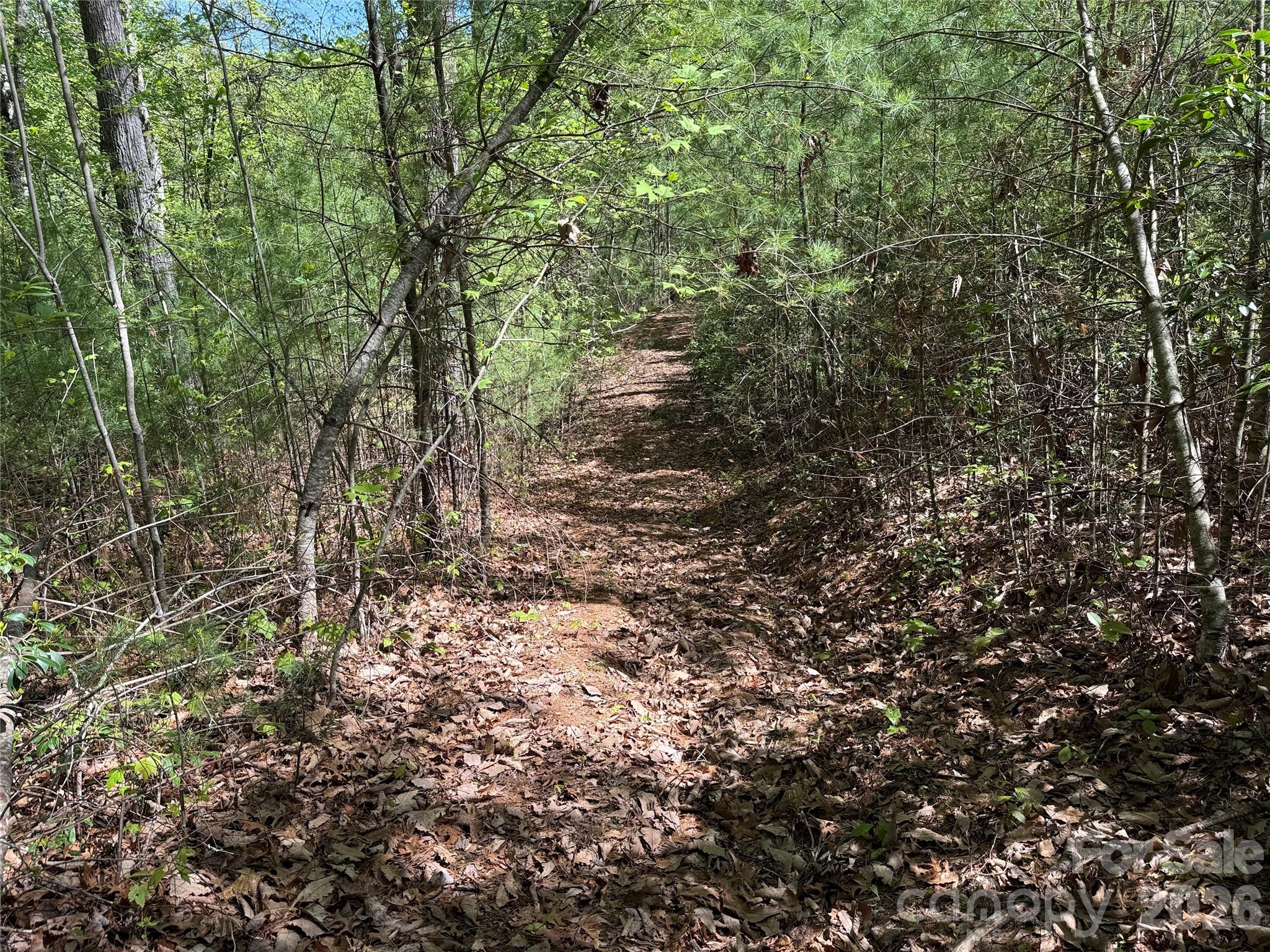Tbd Staghorn Road 160 & 161 Property Photo 20