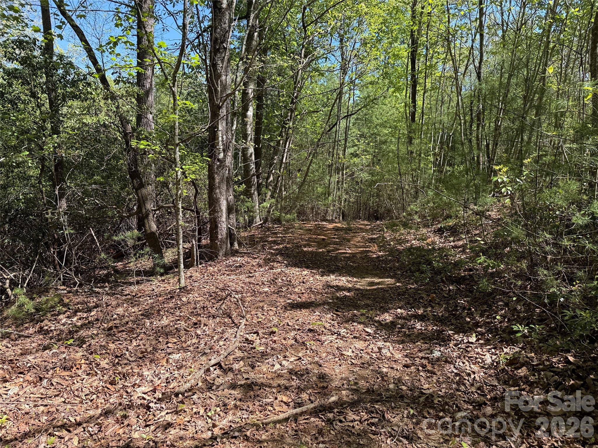 Tbd Staghorn Road 160 & 161 Property Photo 21