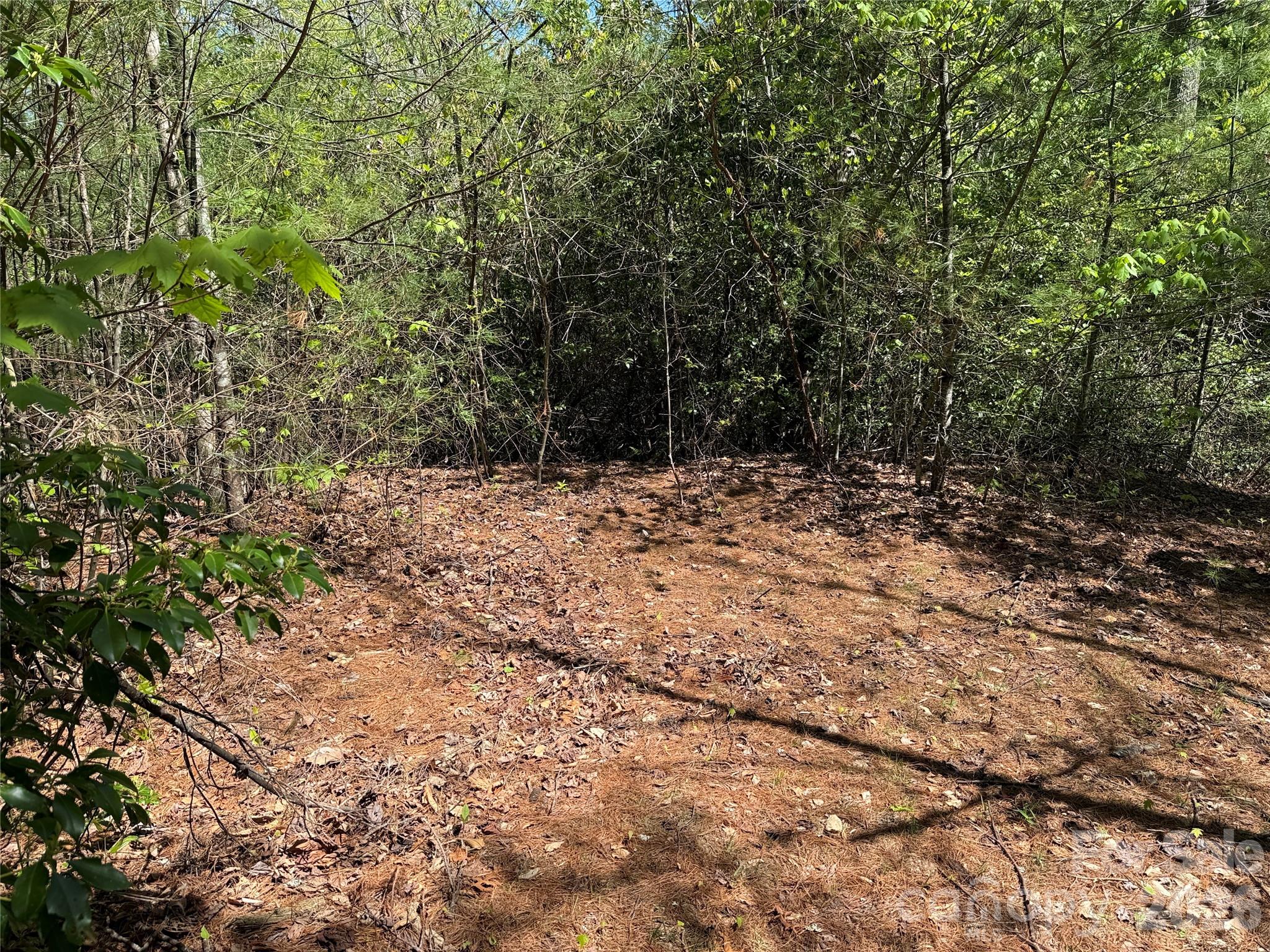 Tbd Staghorn Road 160 & 161 Property Photo 22