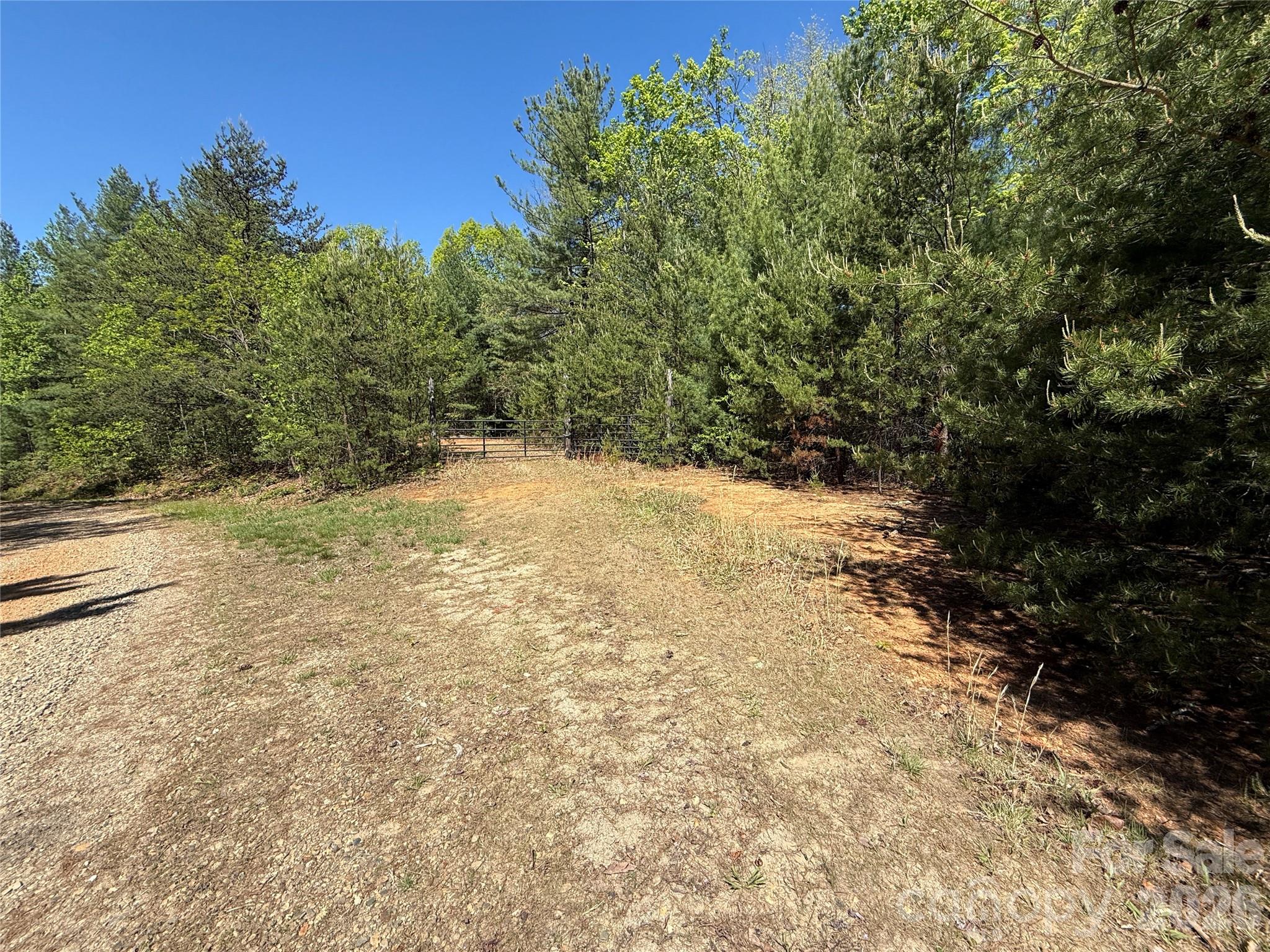 Tbd Staghorn Road 160 & 161 Property Photo 23
