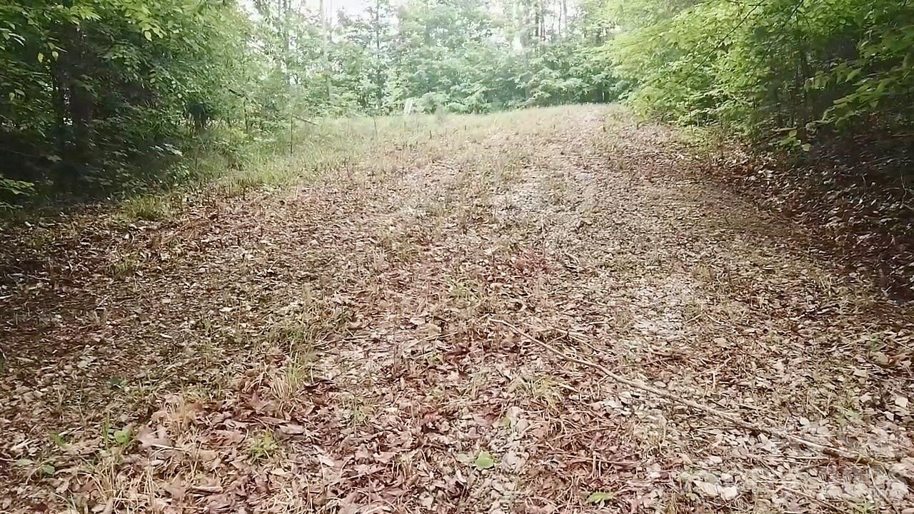 2115 Kisatchie Drive Property Photo 6