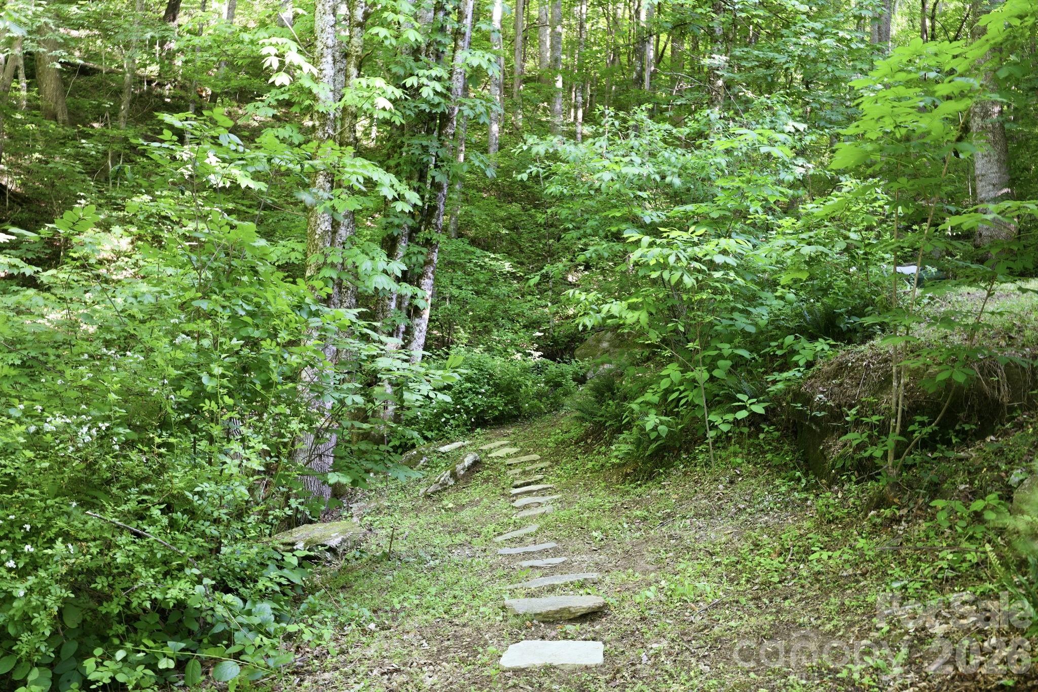 98 Sparkling Springs Road Property Photo 39