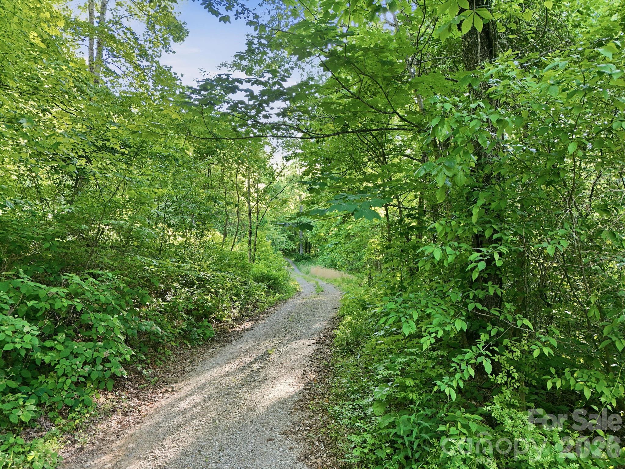 98 Sparkling Springs Road Property Photo 44