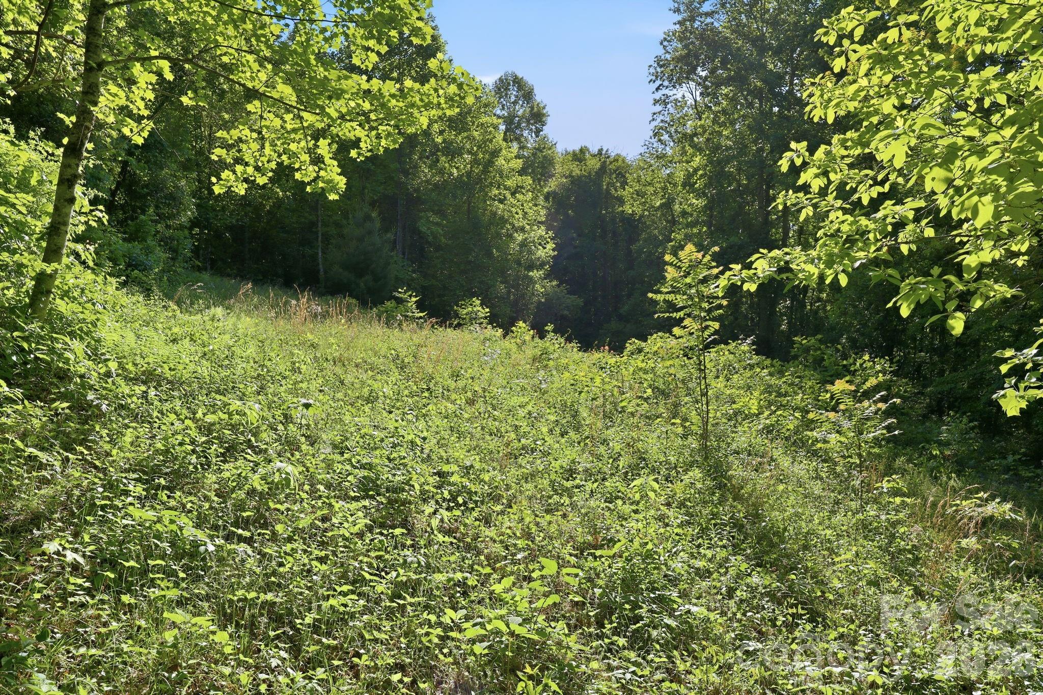 98 Sparkling Springs Road Property Photo 46