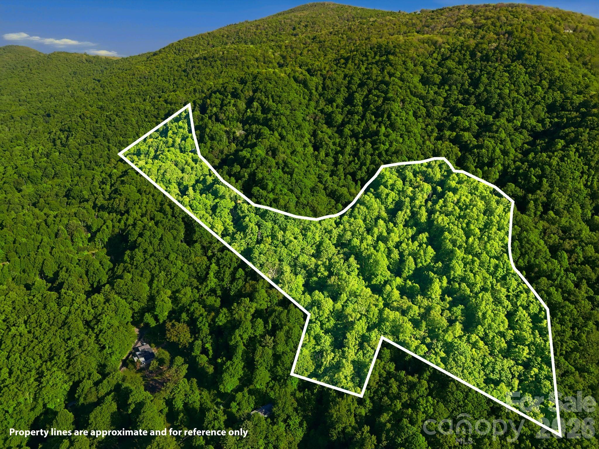 98 Sparkling Springs Road Property Photo 48