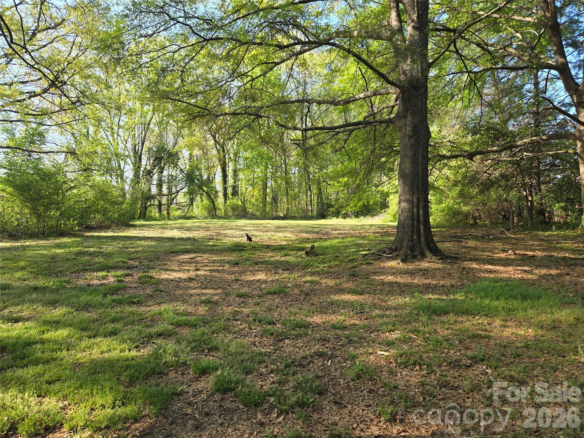 804 Emmanuel Church Road Property Photo 4