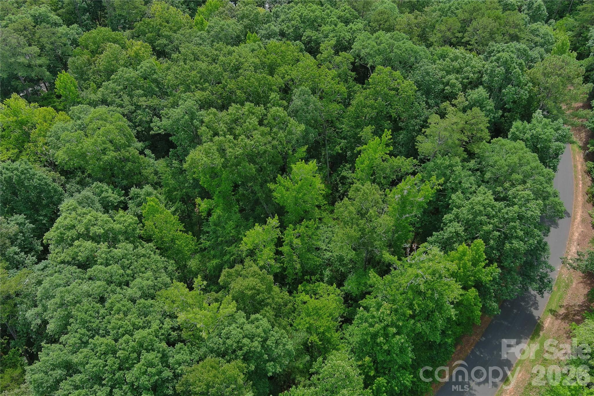 247 Millwheel Lane Property Photo 1