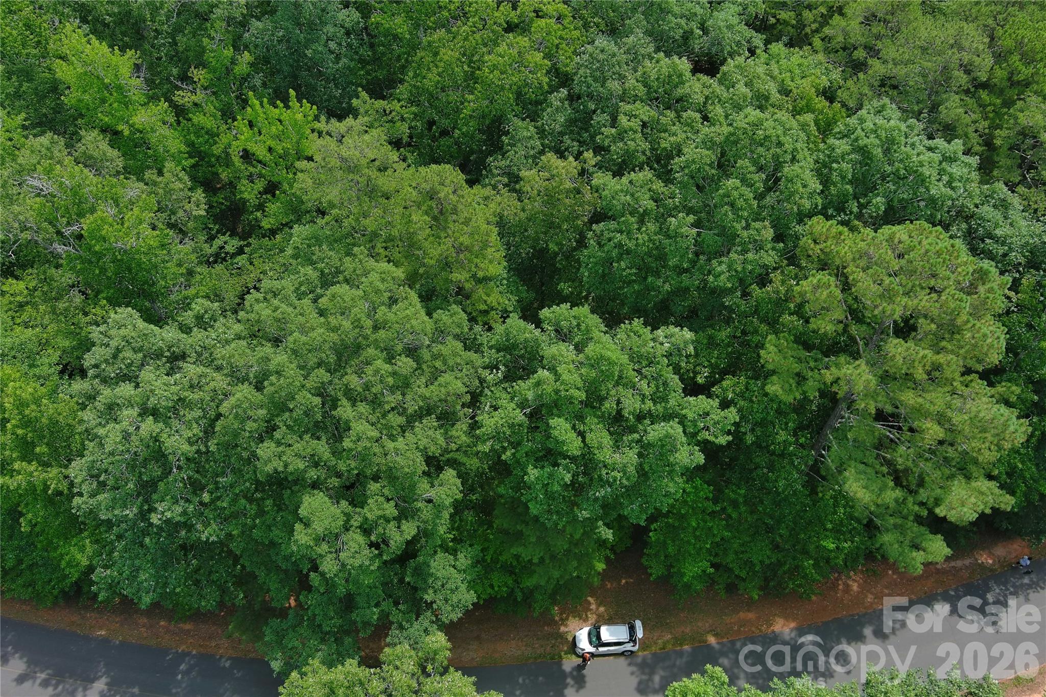 247 Millwheel Lane Property Photo 2
