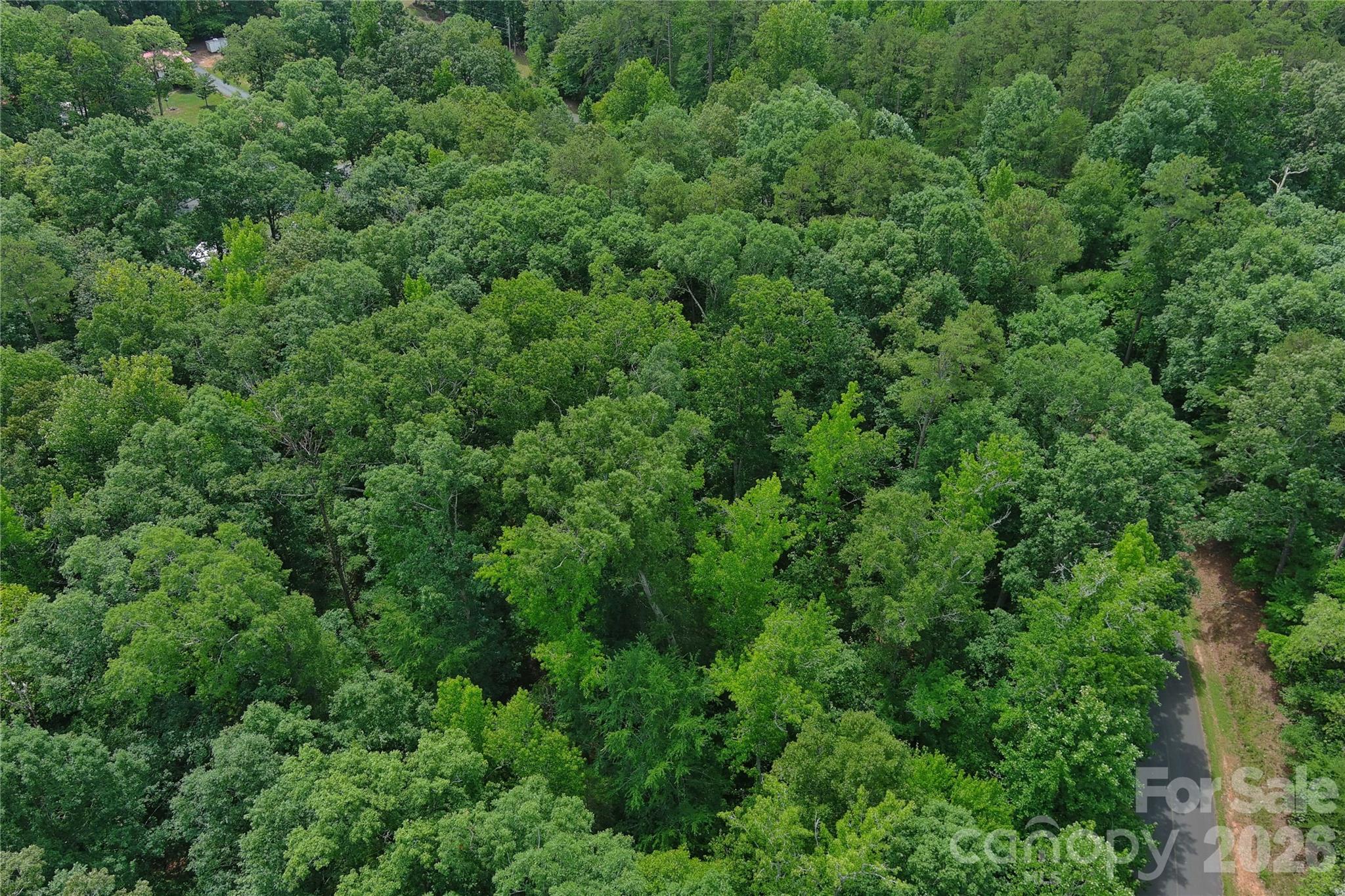 247 Millwheel Lane Property Photo 3