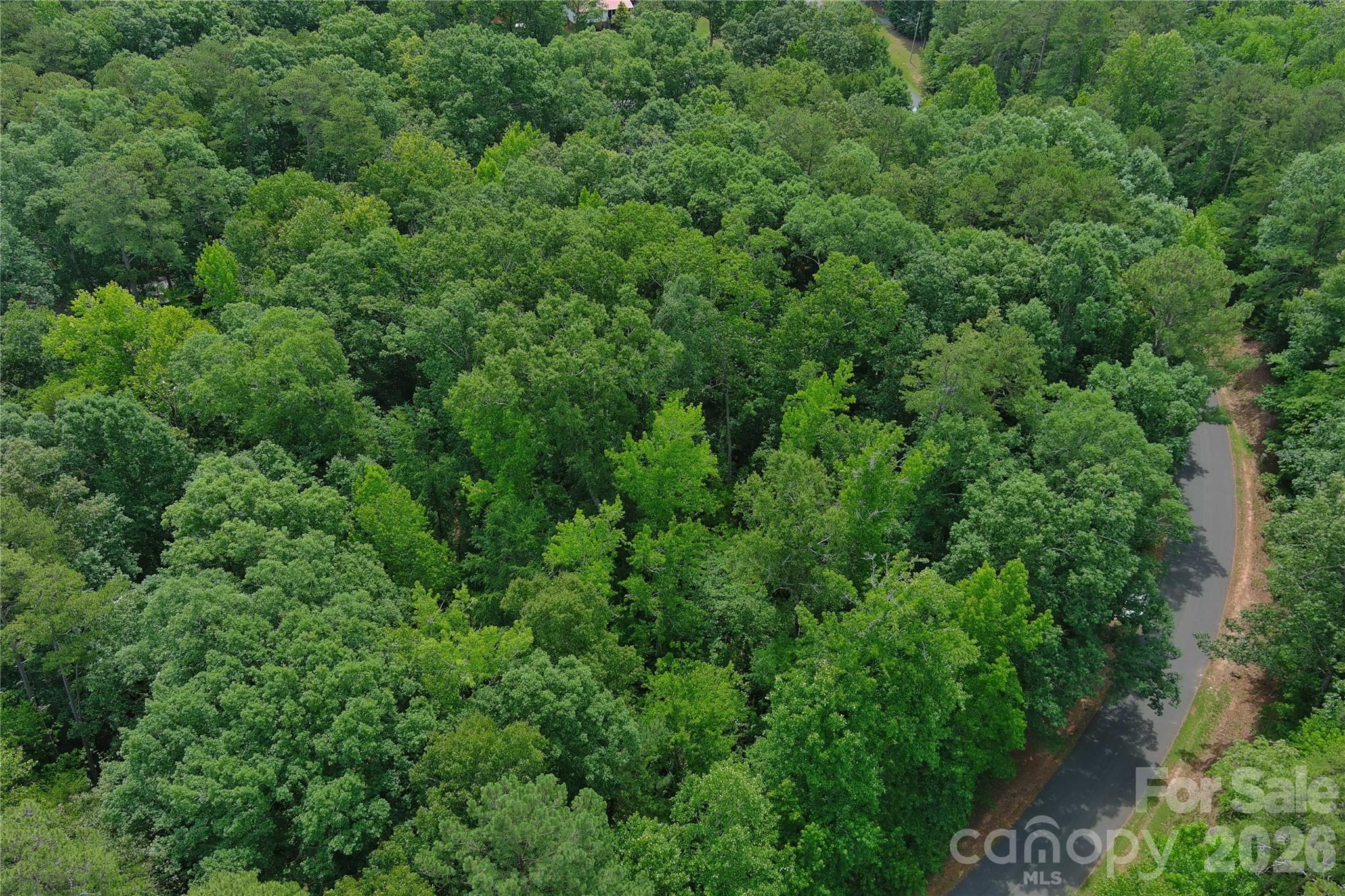 247 Millwheel Lane Property Photo 5