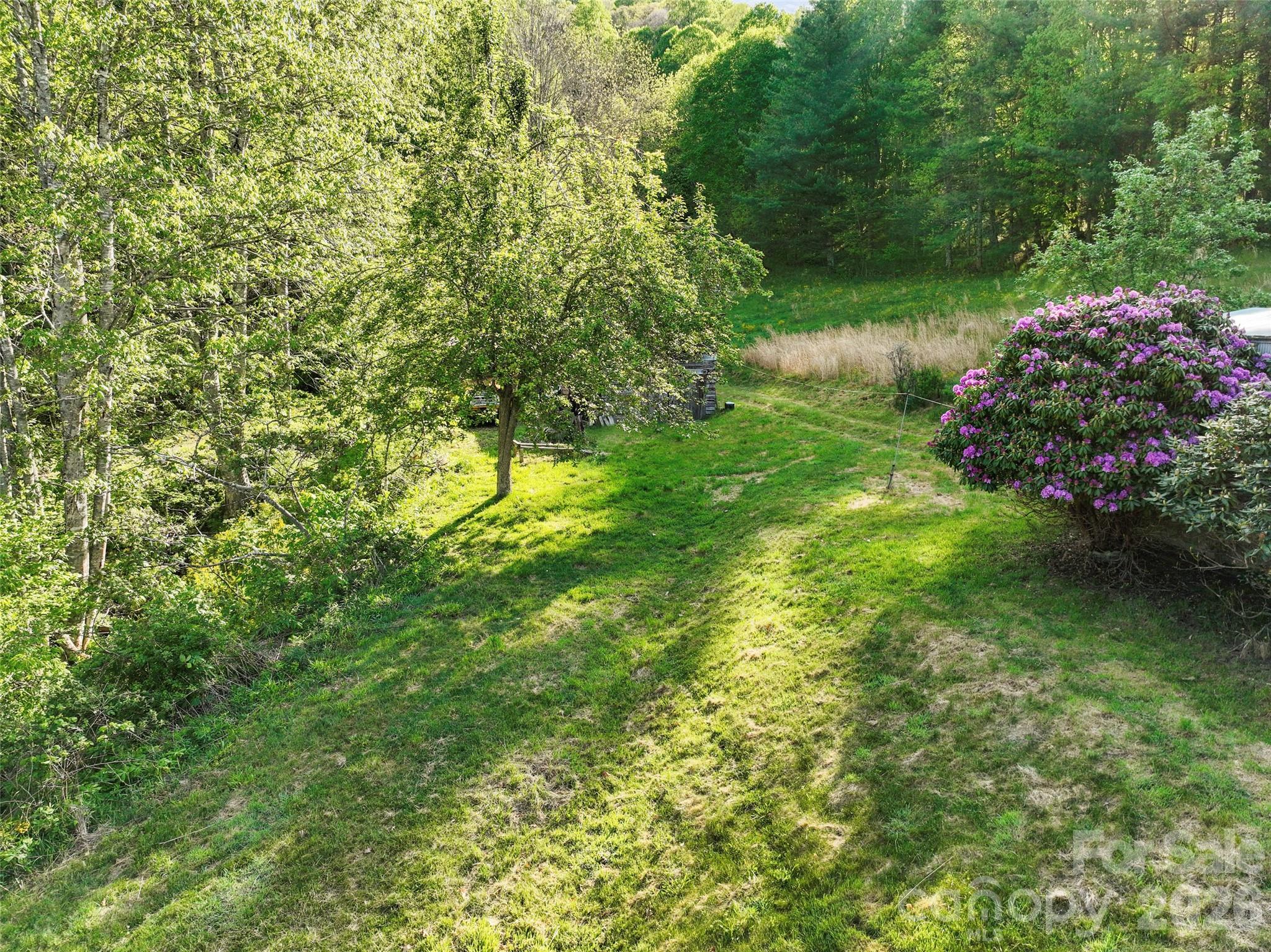 3454 Puncheon Fork Road Property Photo 11