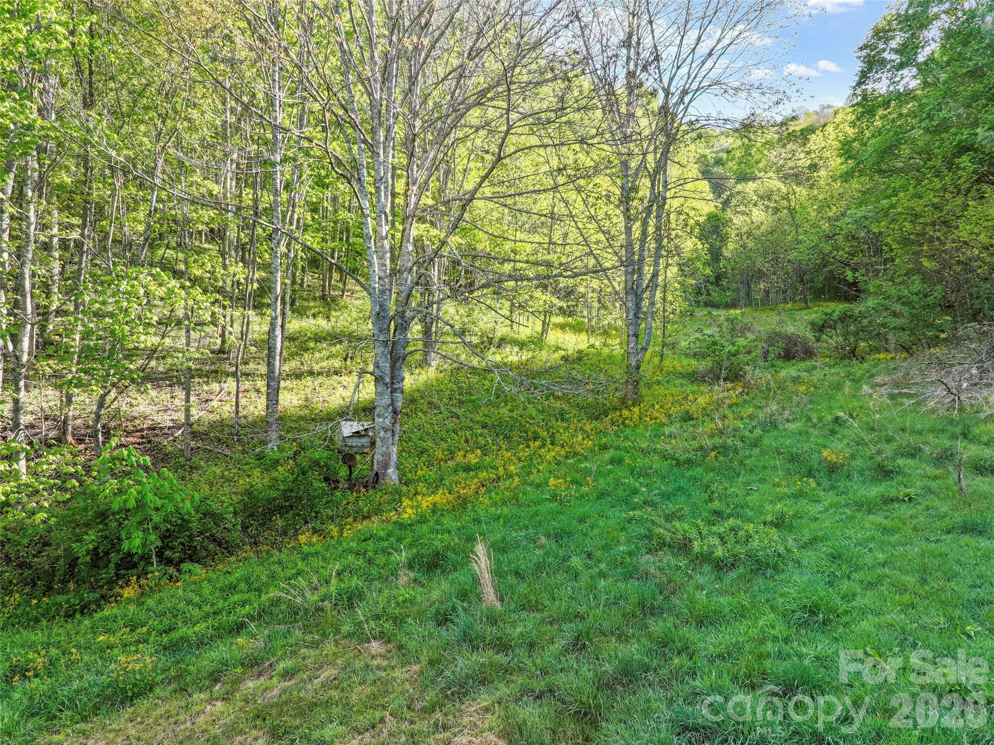 3454 Puncheon Fork Road Property Photo 14