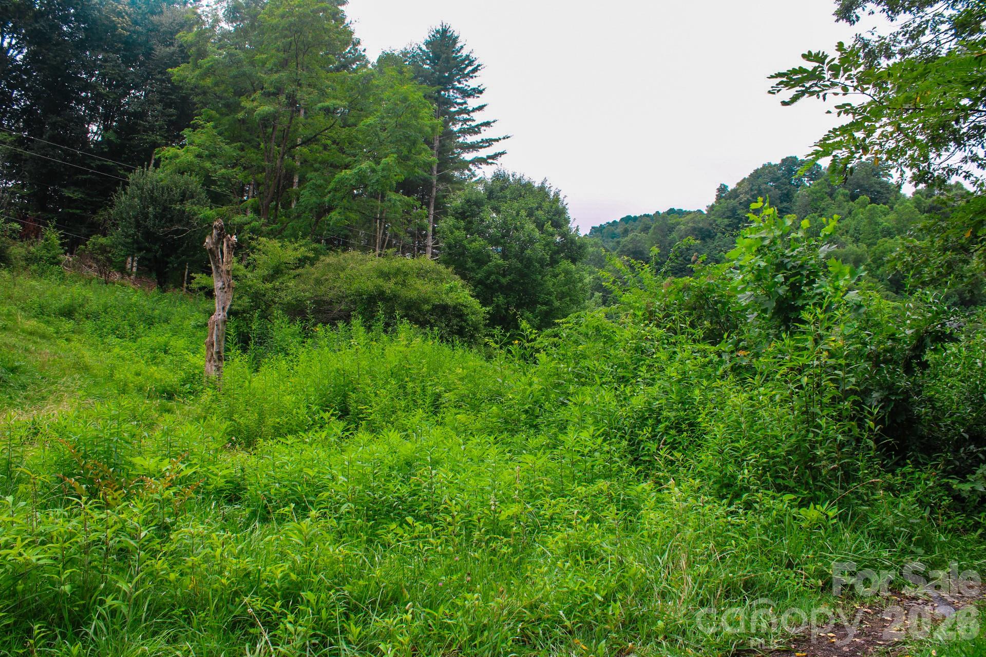 3454 Puncheon Fork Road Property Photo 18