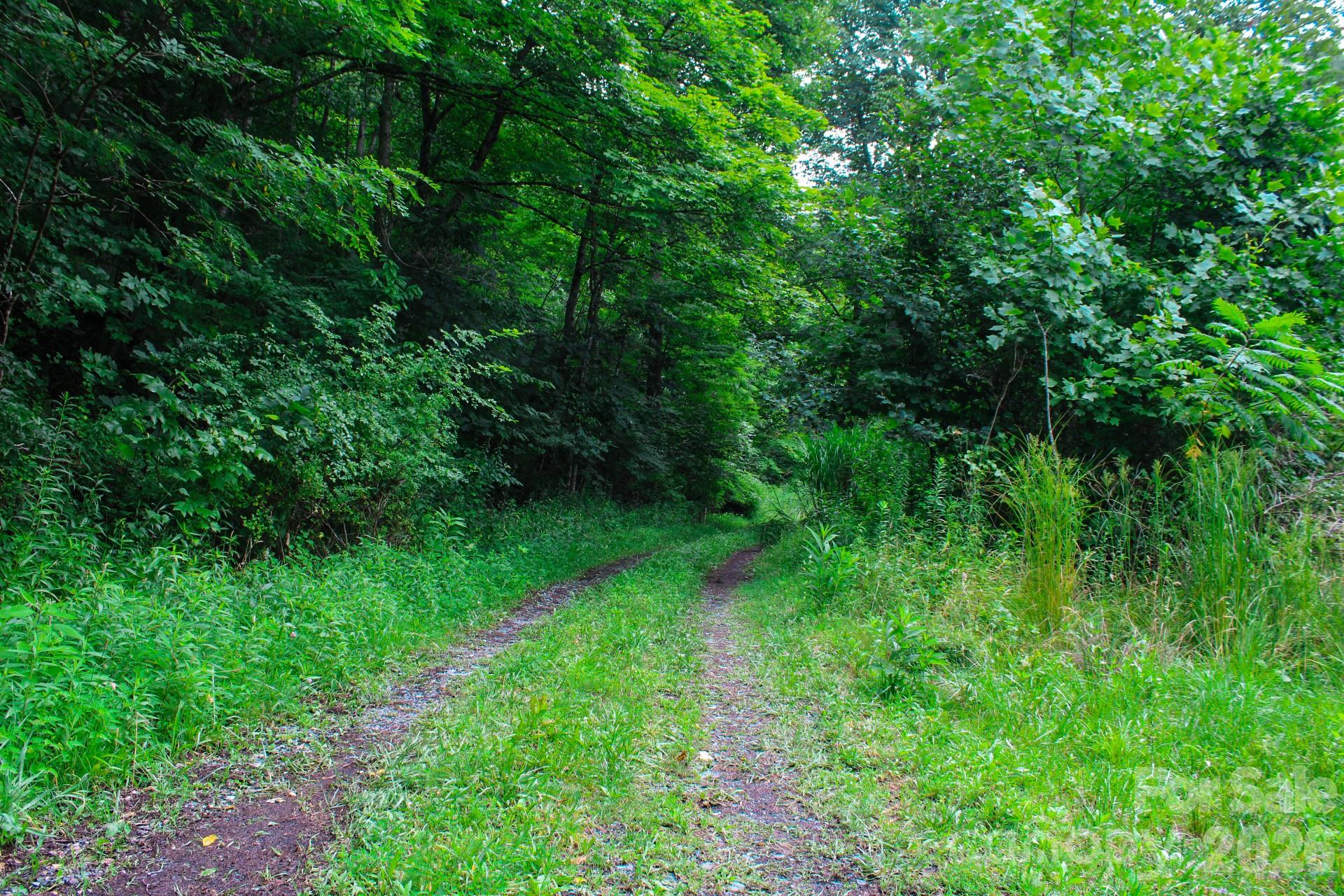 3454 Puncheon Fork Road Property Photo 20
