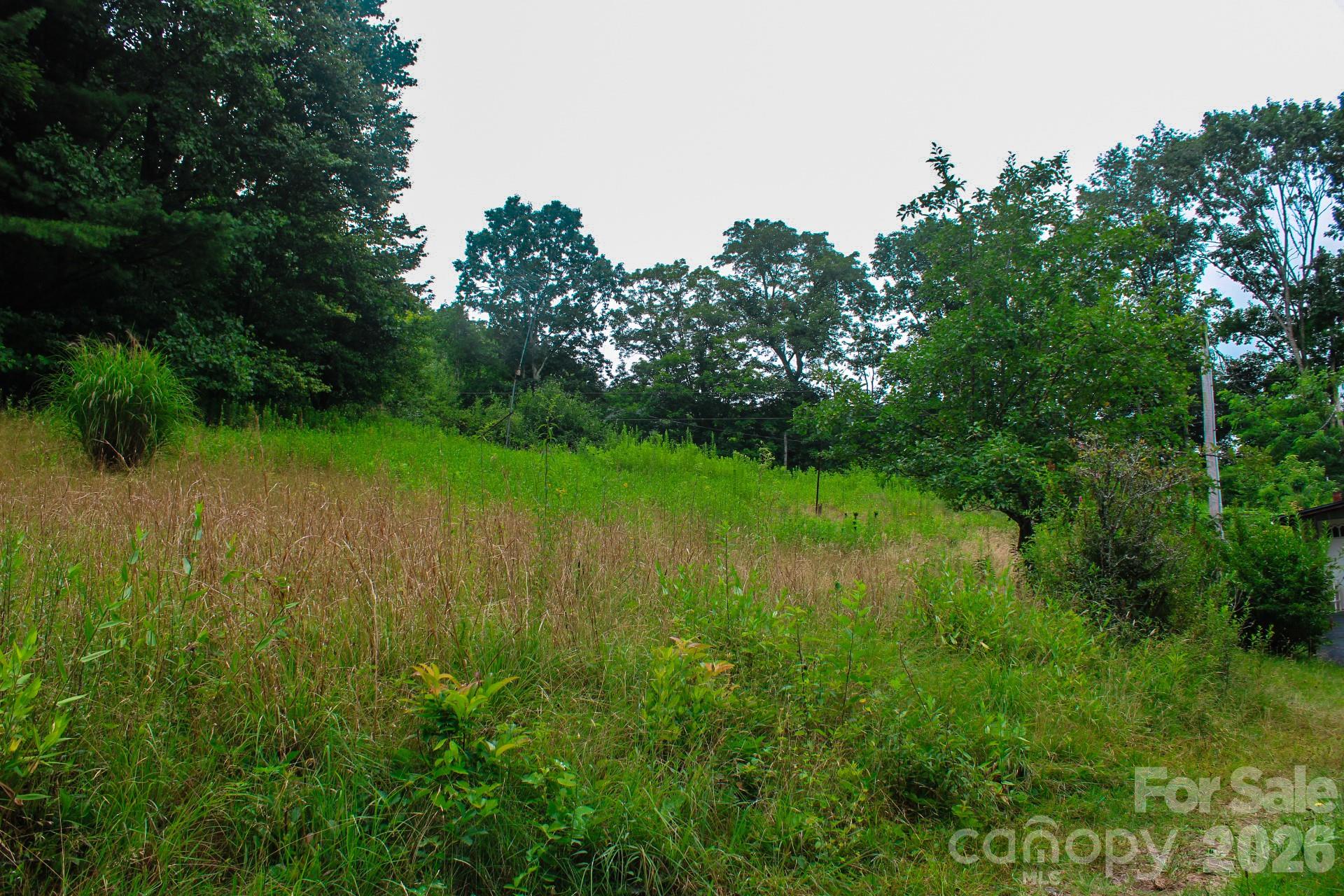 3454 Puncheon Fork Road Property Photo 29