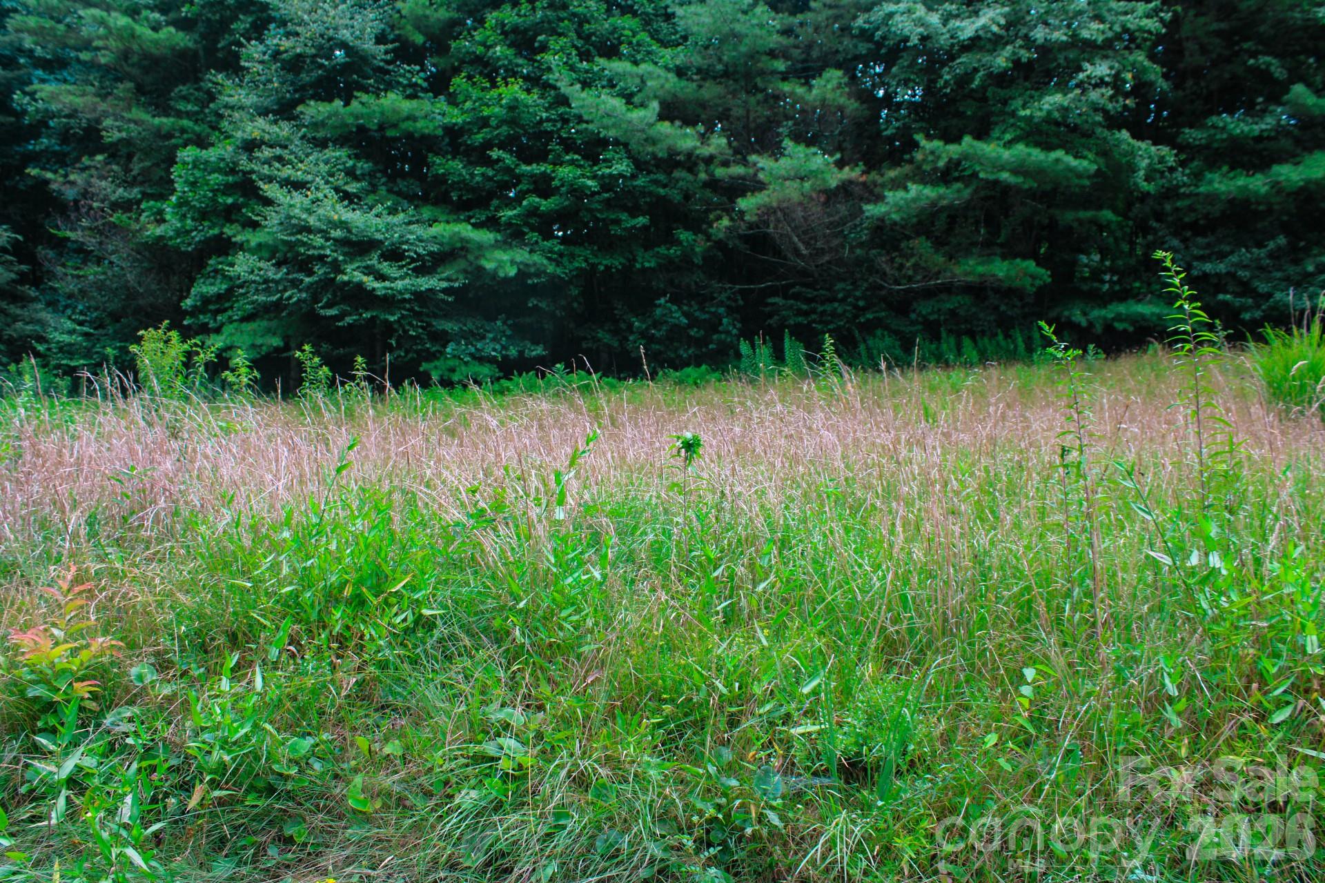3454 Puncheon Fork Road Property Photo 30