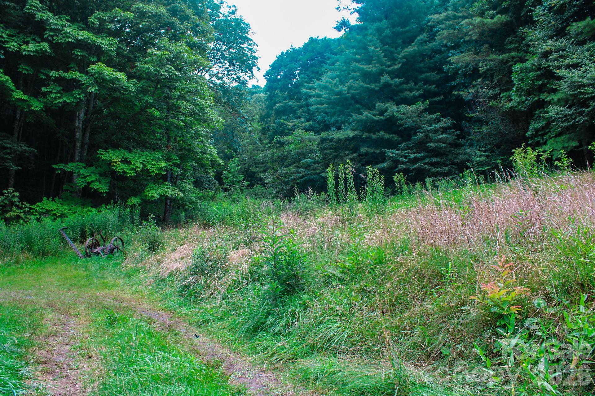 3454 Puncheon Fork Road Property Photo 31