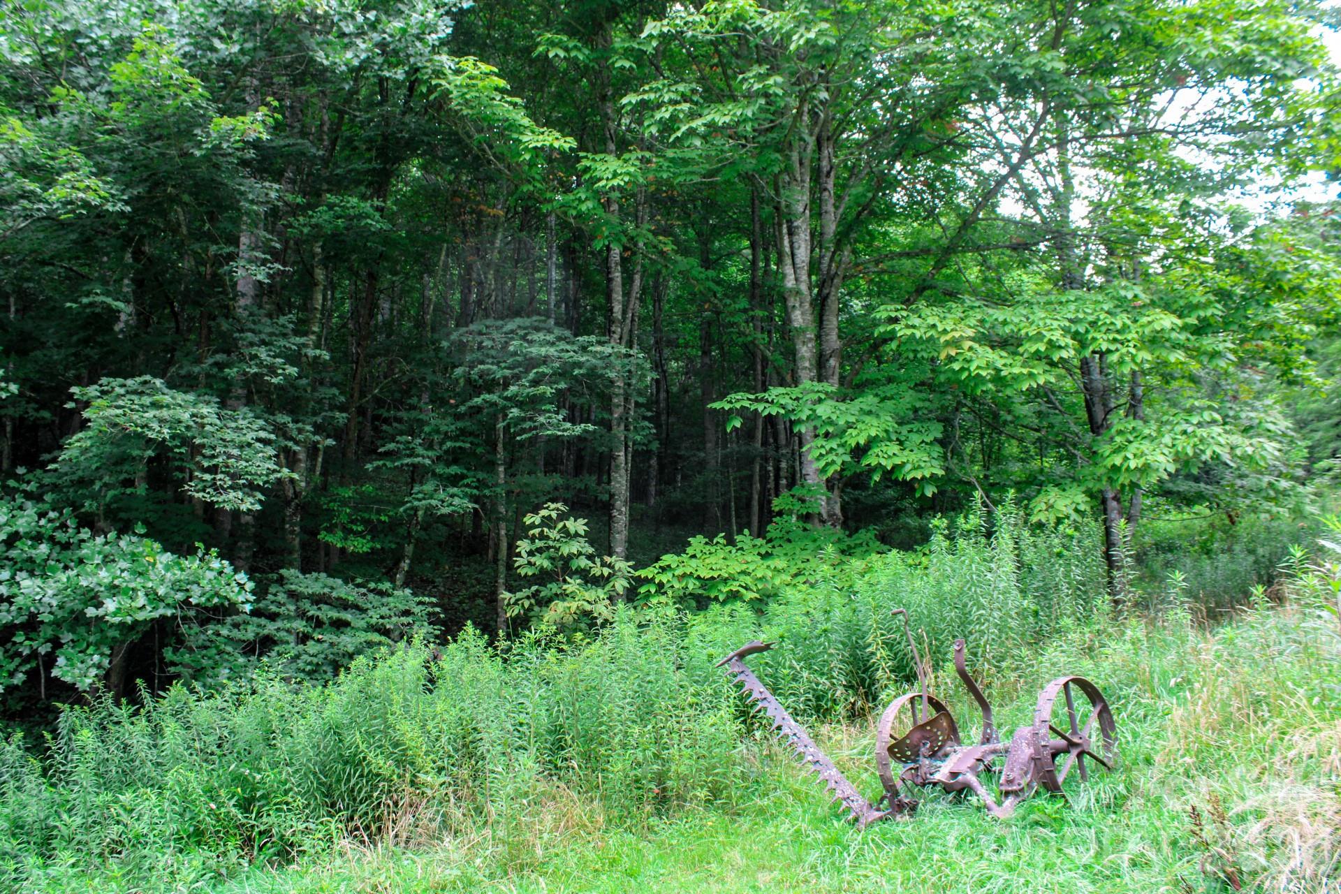 3454 Puncheon Fork Road Property Photo 32