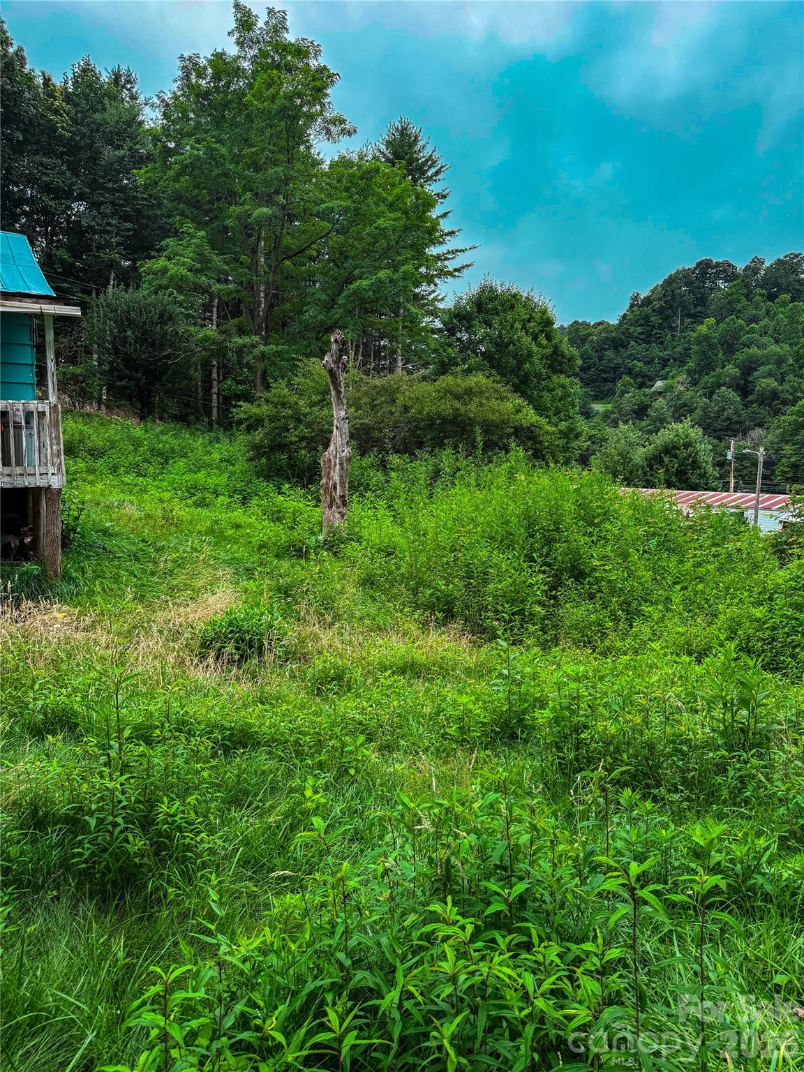 3454 Puncheon Fork Road Property Photo 39