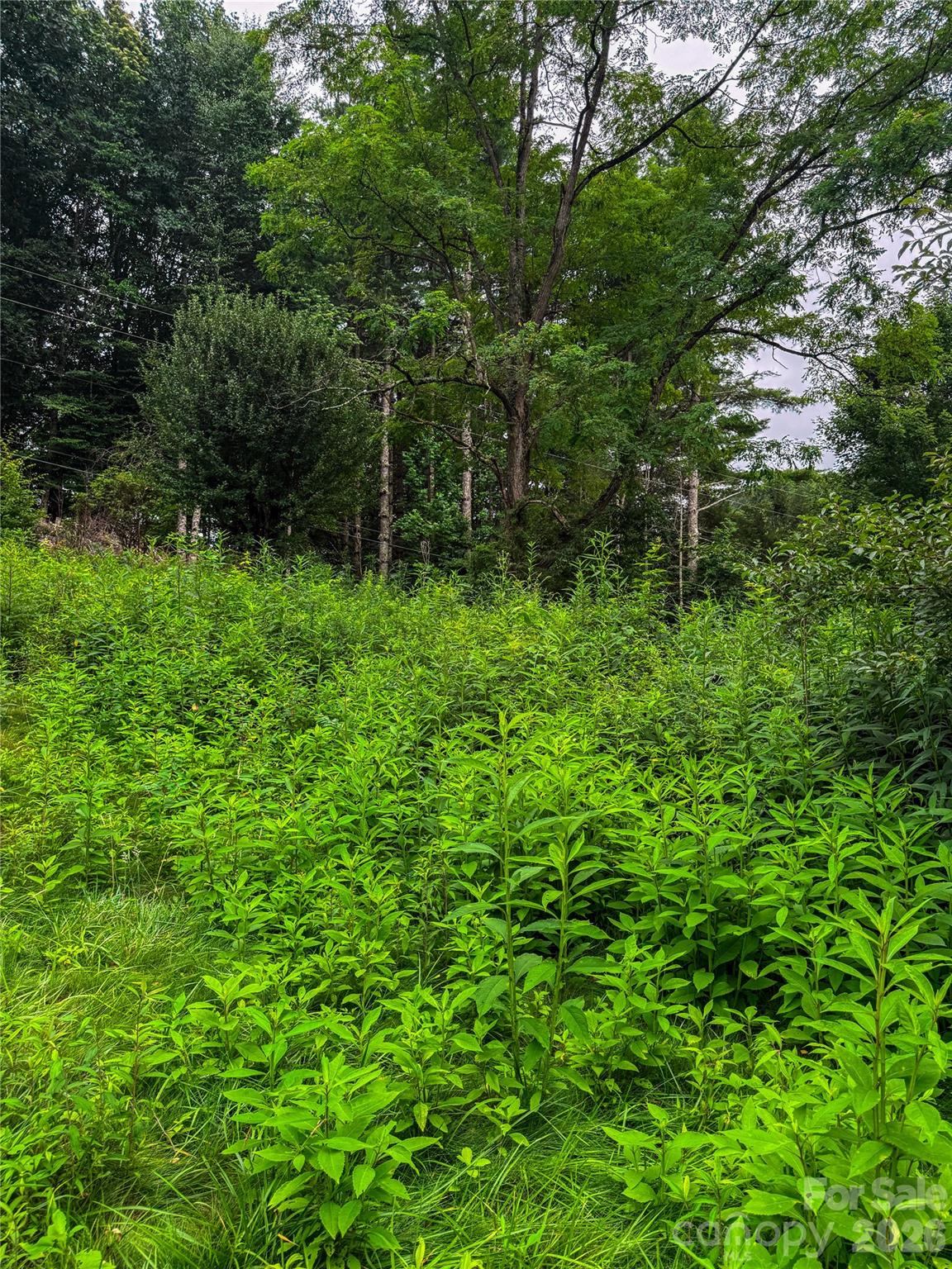 3454 Puncheon Fork Road Property Photo 40