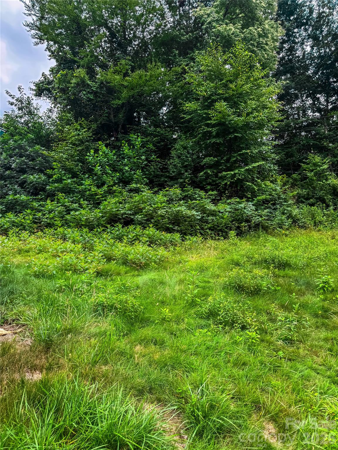 3454 Puncheon Fork Road Property Photo 41